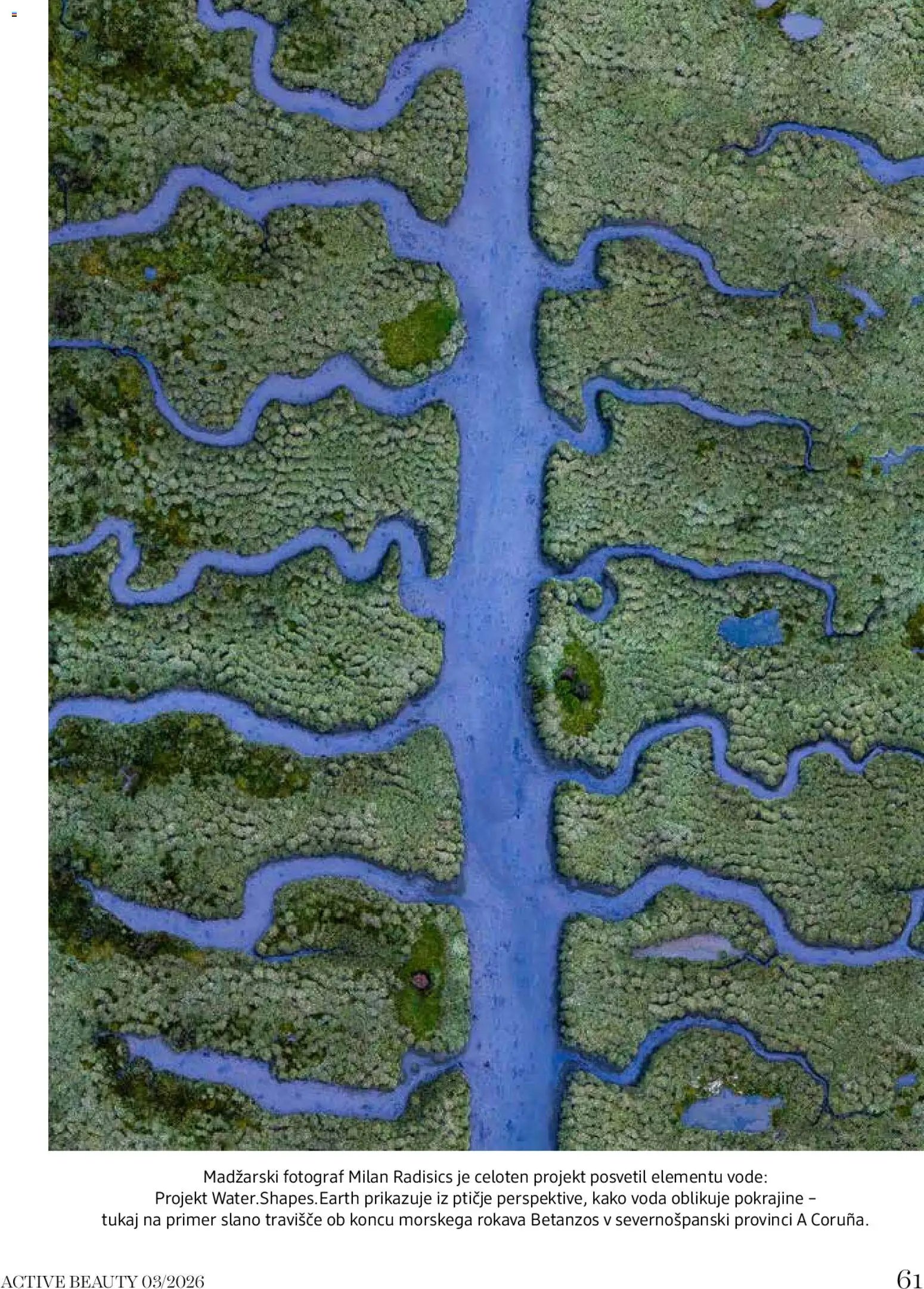 DM Drogerie Markt katalog beauty (2026-03-01 - 2026-03-31)