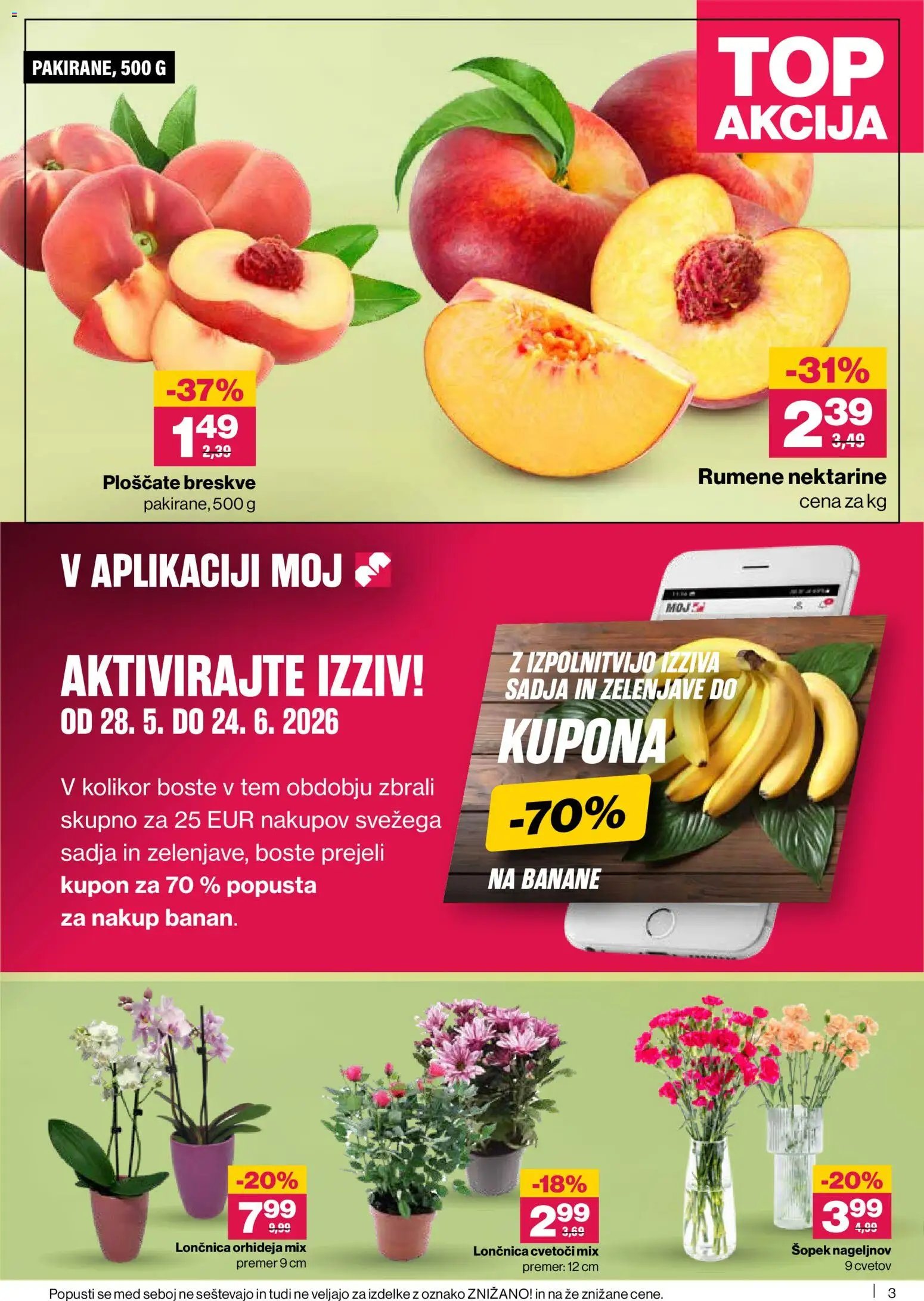Mercator katalog Redni