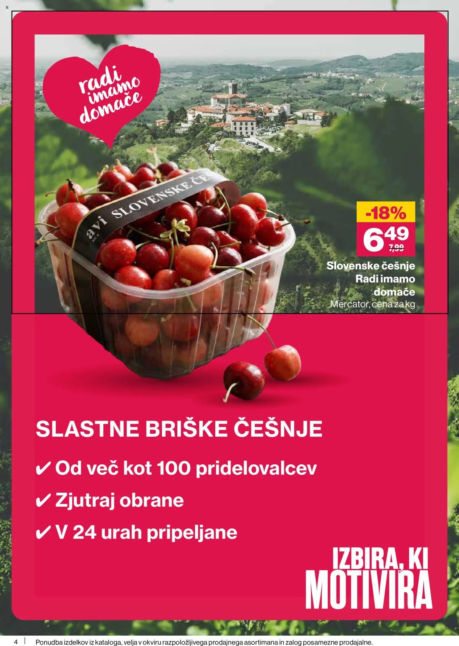 Mercator katalog Redni