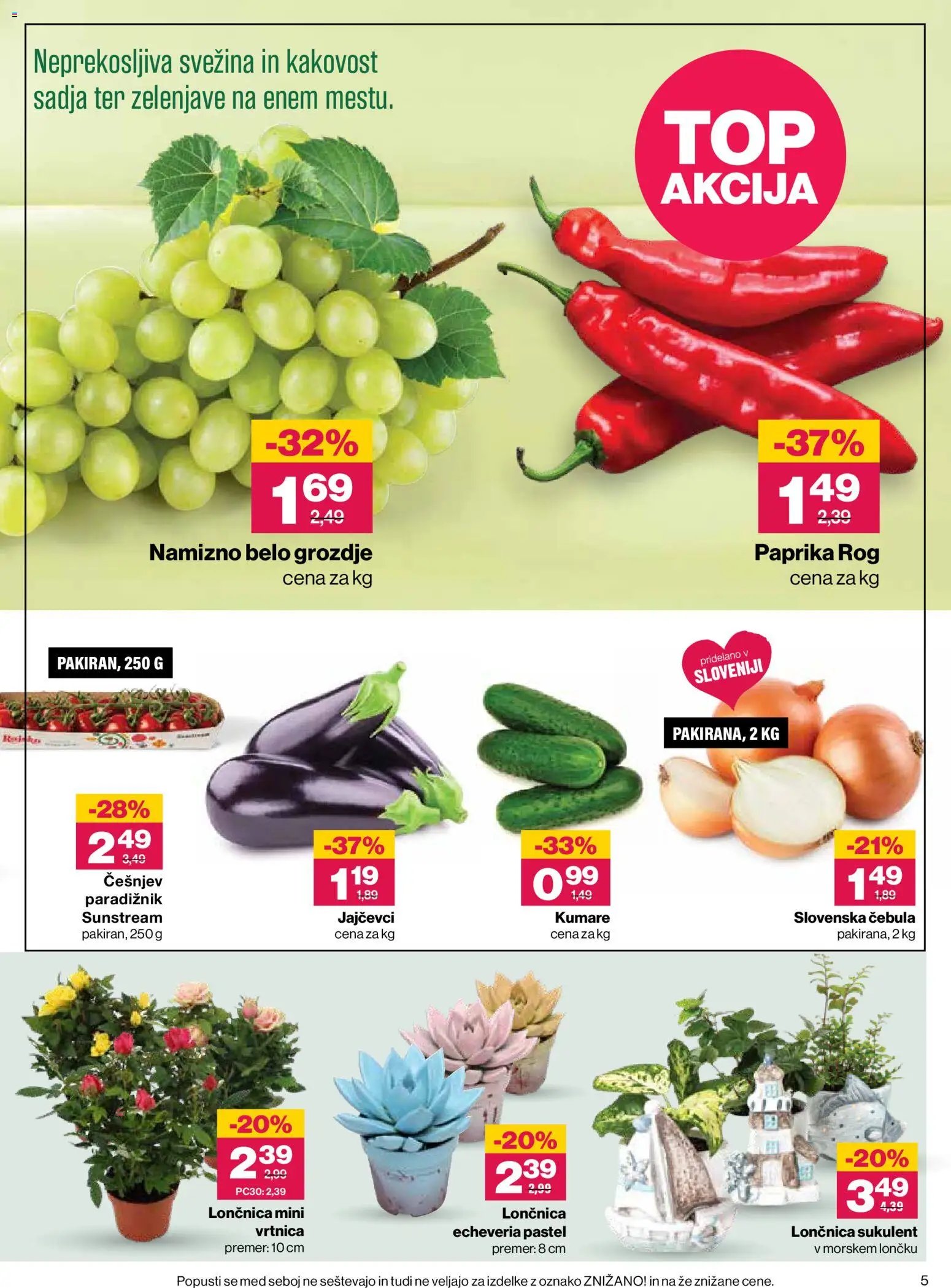 Mercator katalog