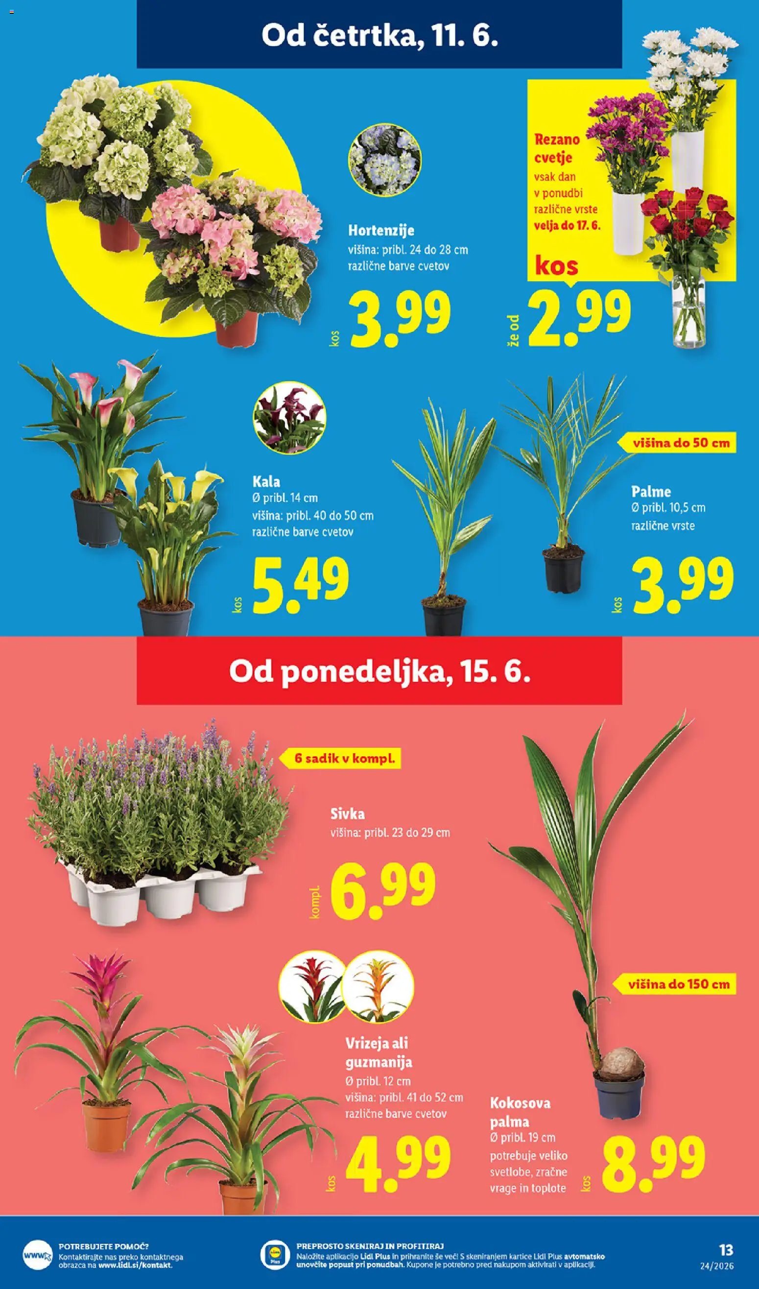 Lidl katalog