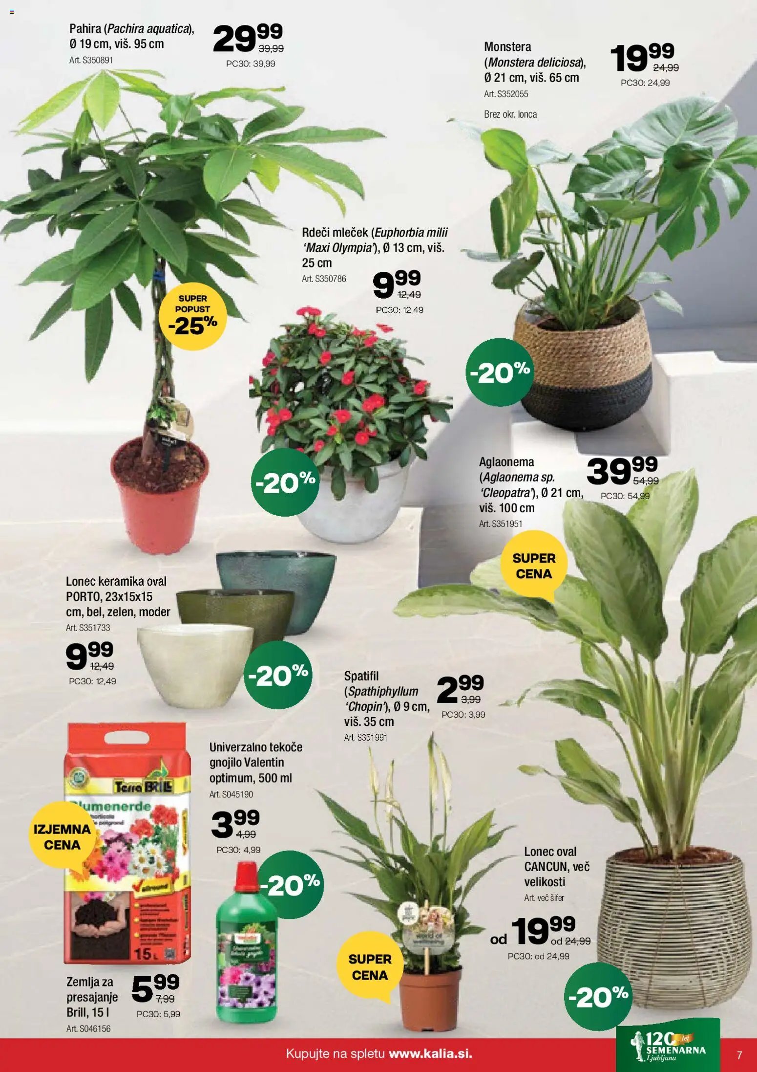Kalia katalog