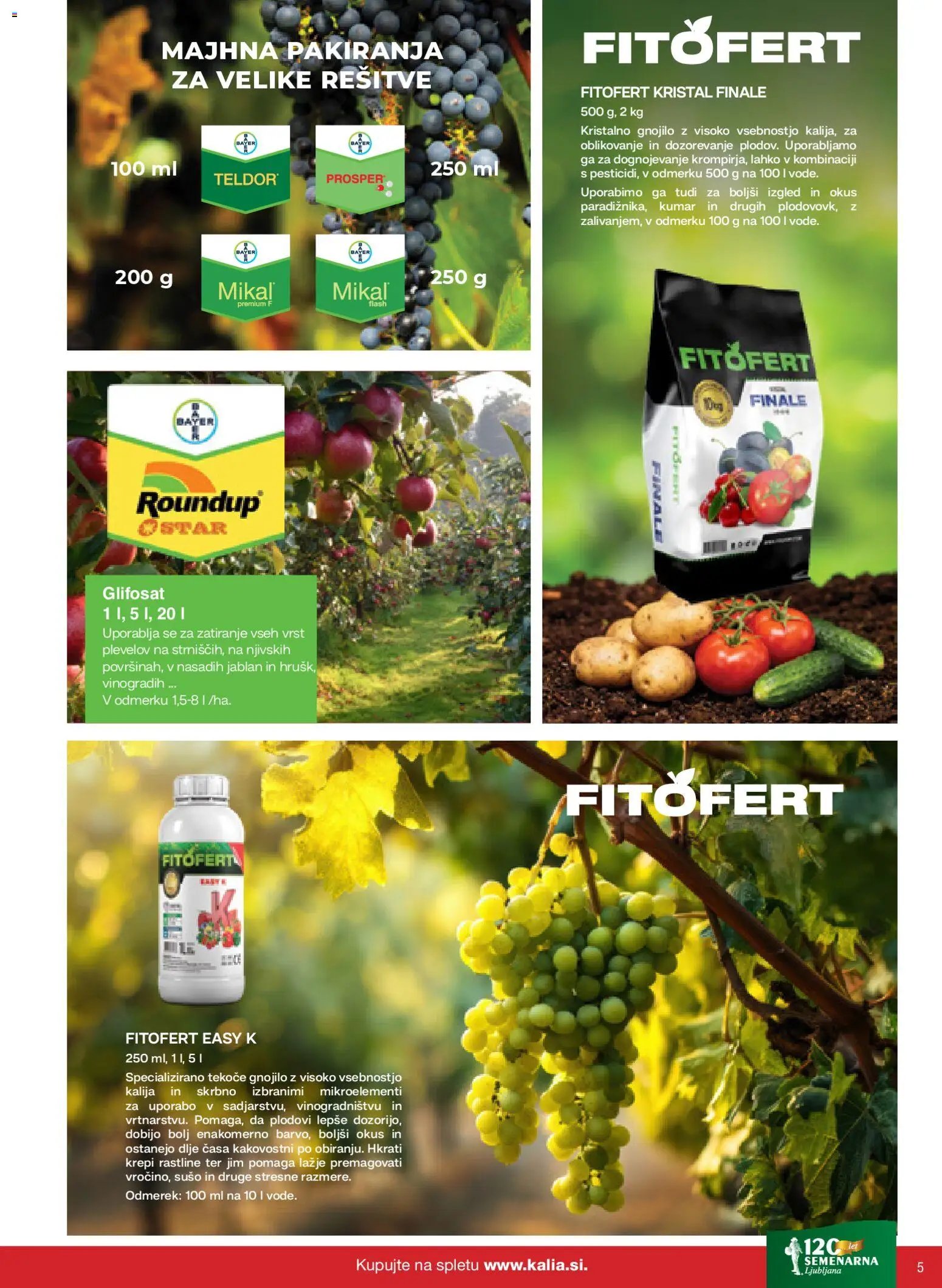 Kalia katalog