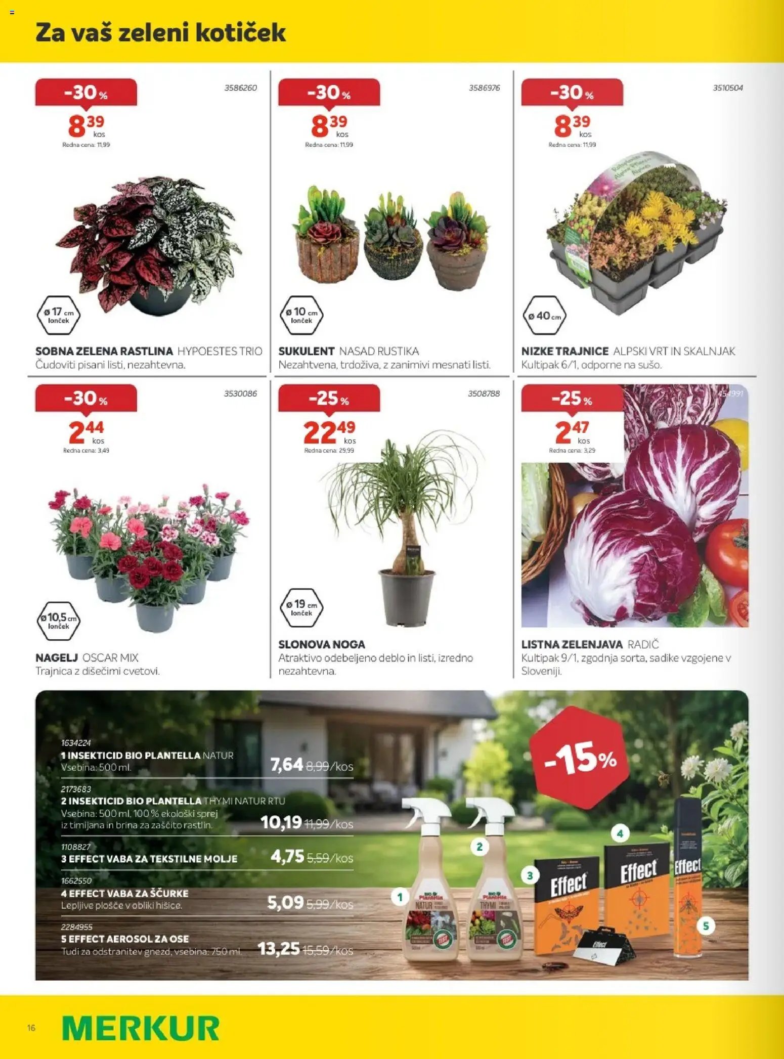 Merkur katalog