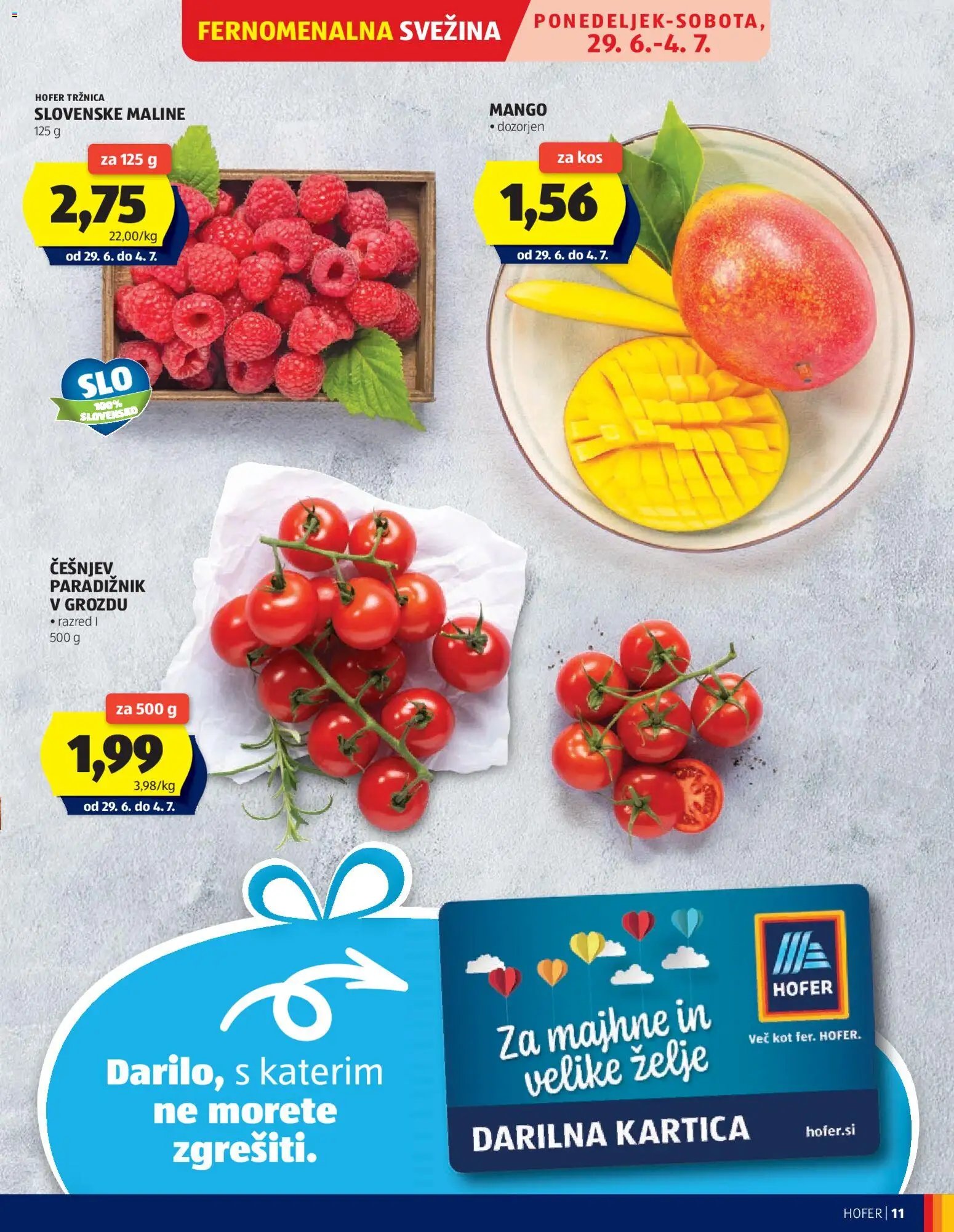 Hofer katalog