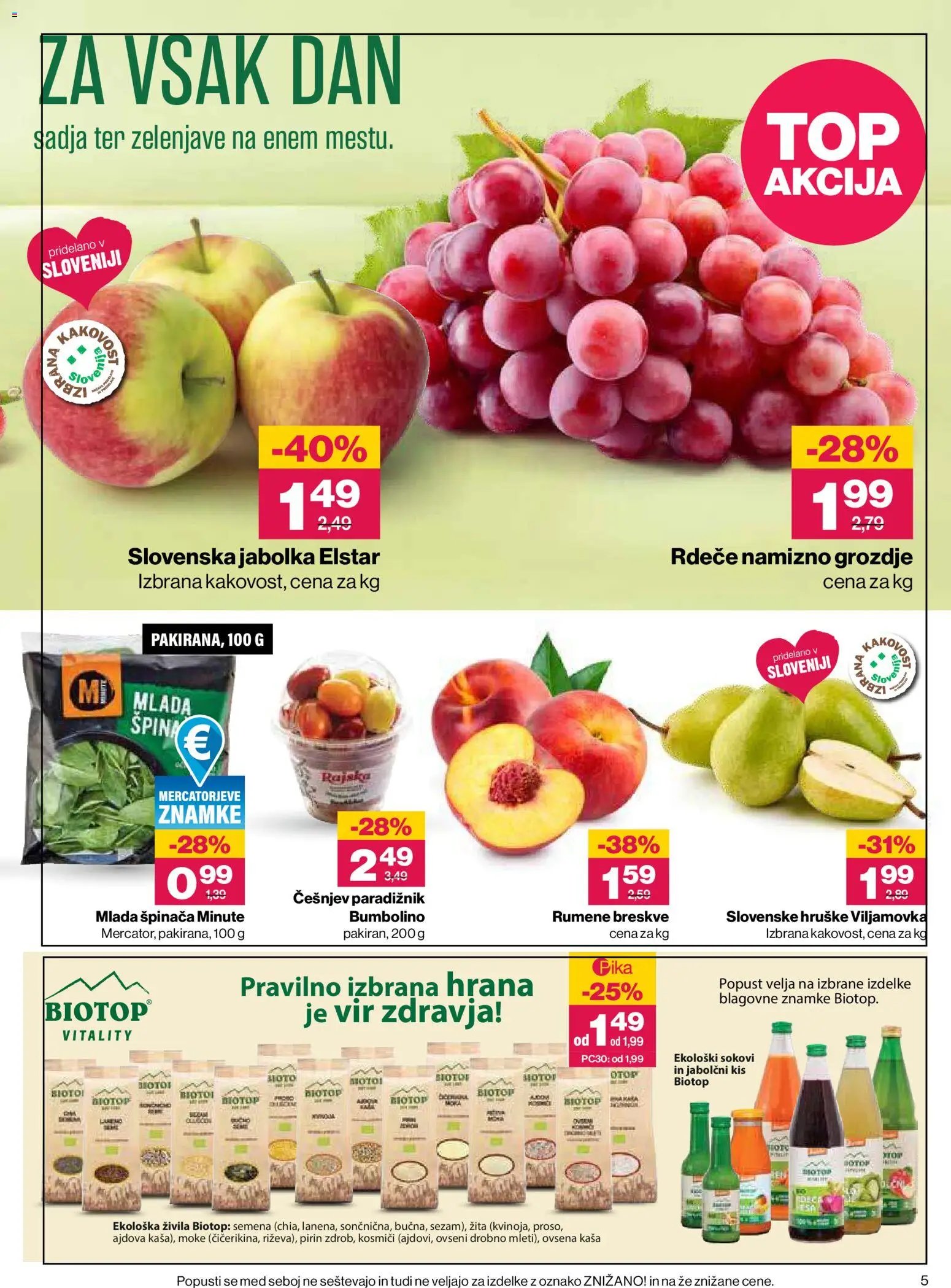 Mercator katalog