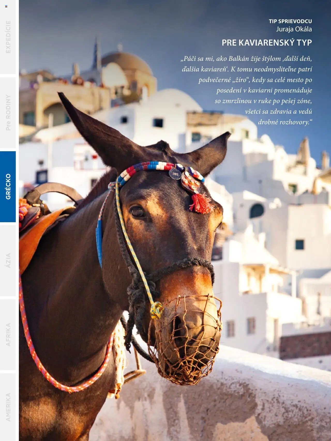 Satur leták (2024-09-24 - 2025-12-31) | 102