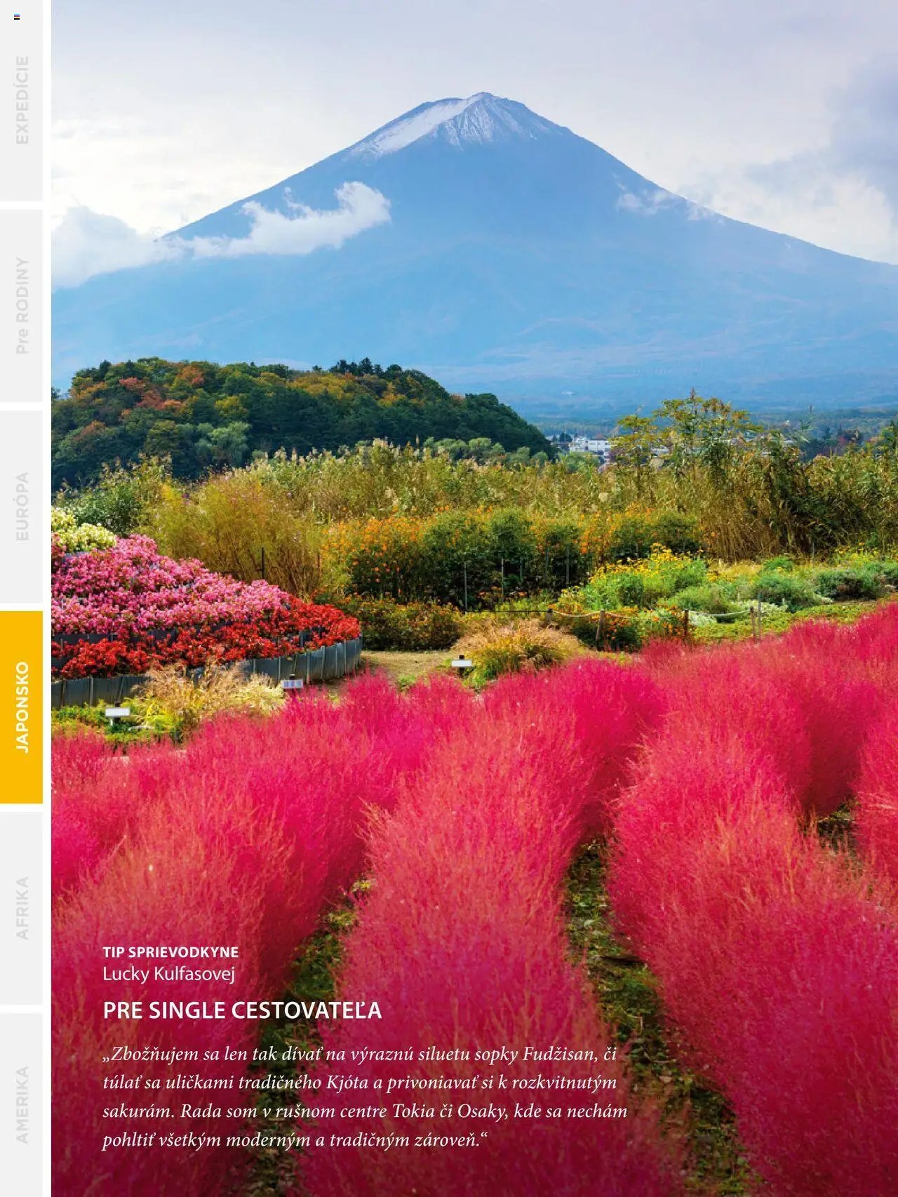 Satur leták (2024-09-24 - 2025-12-31) | 168