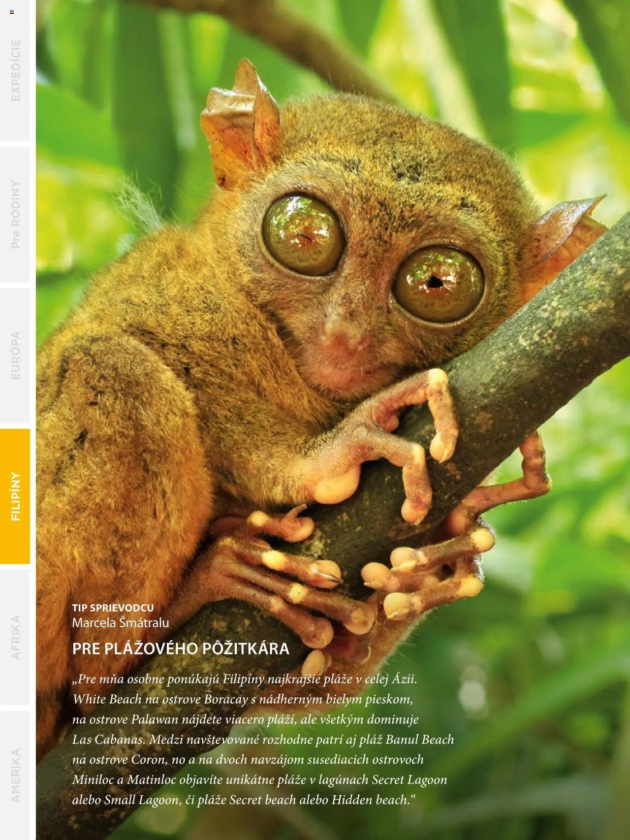 Satur leták (2024-09-24 - 2025-12-31) | 170