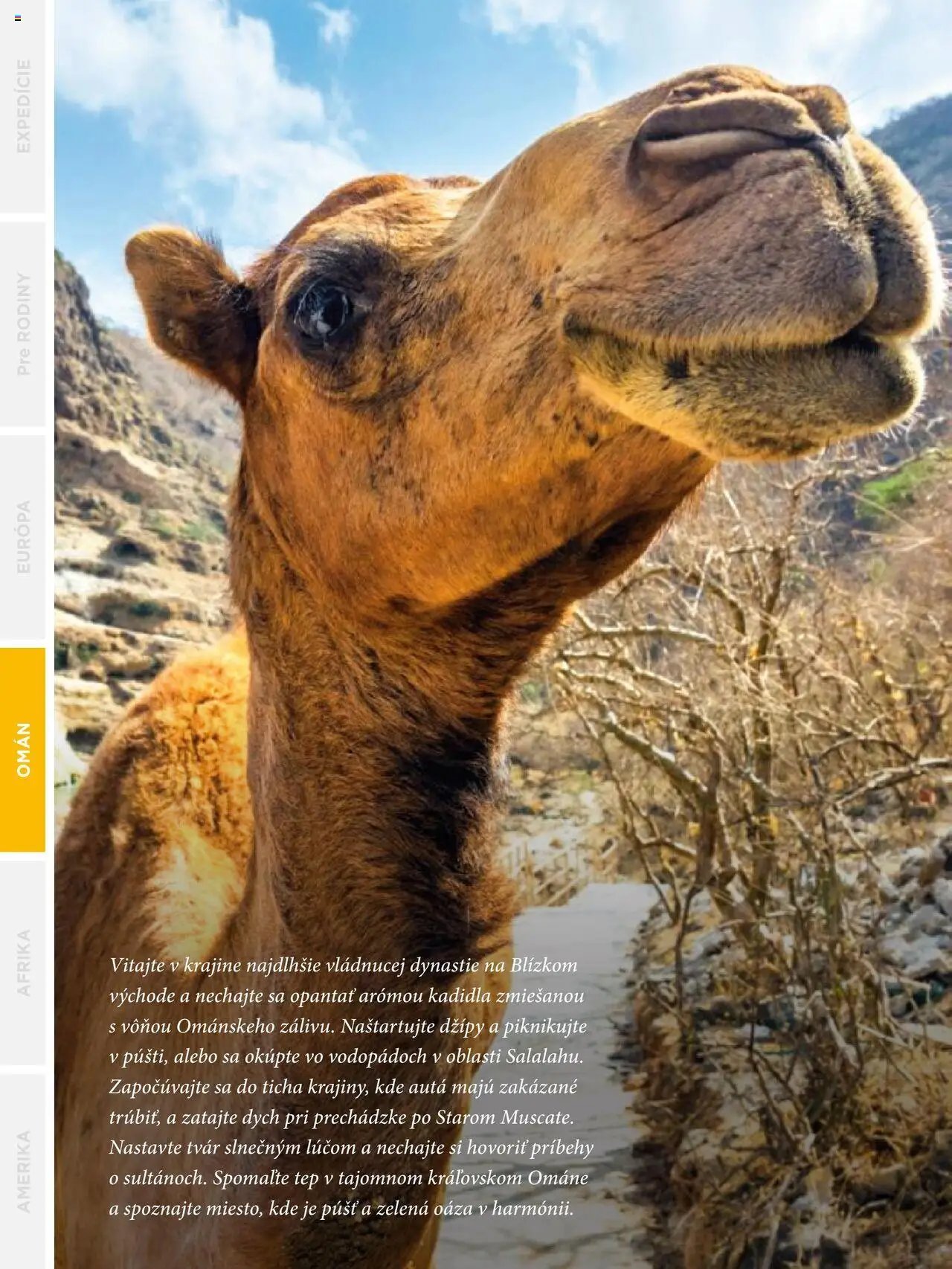 Satur leták (2024-09-24 - 2025-12-31) | 214