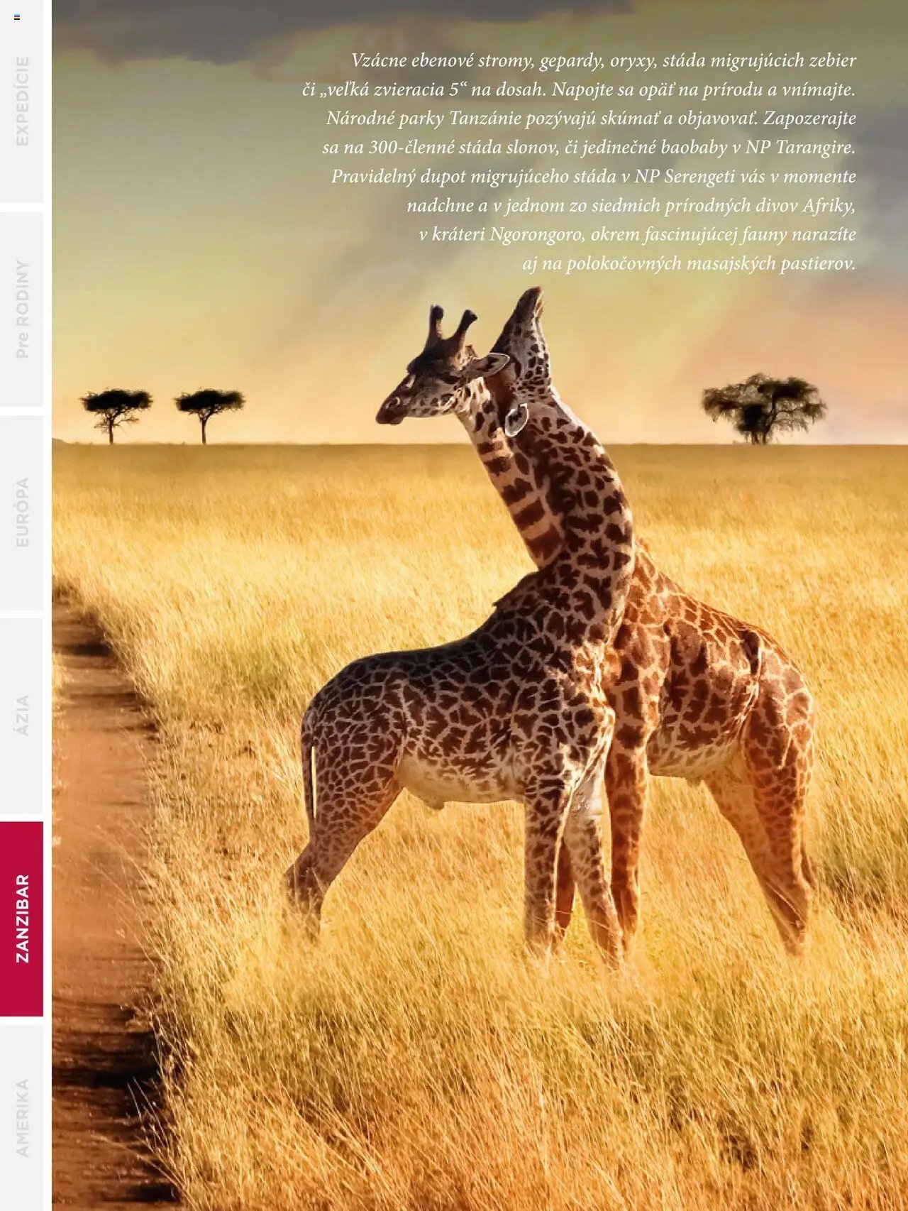 Satur leták (2024-09-24 - 2025-12-31) | 242