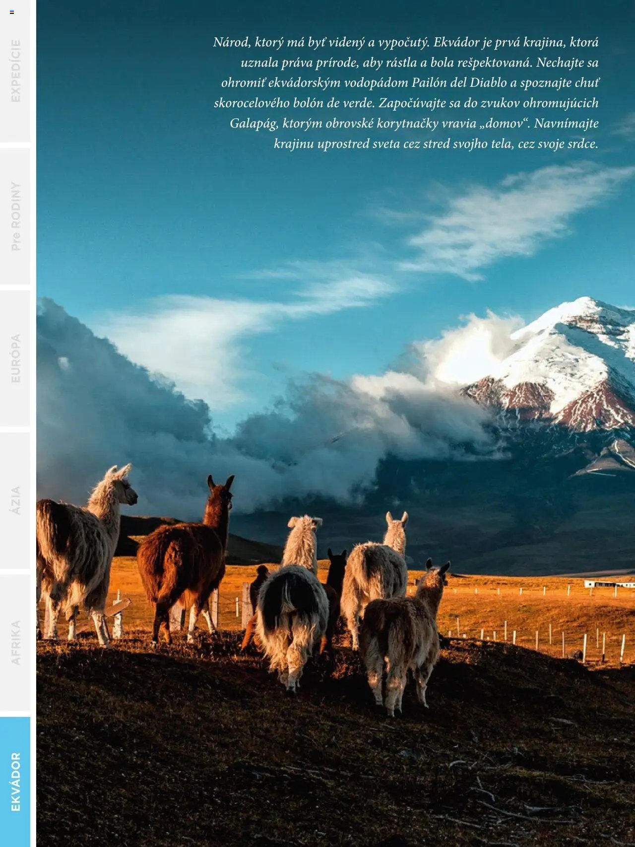 Satur leták (2024-09-24 - 2025-12-31) | 288