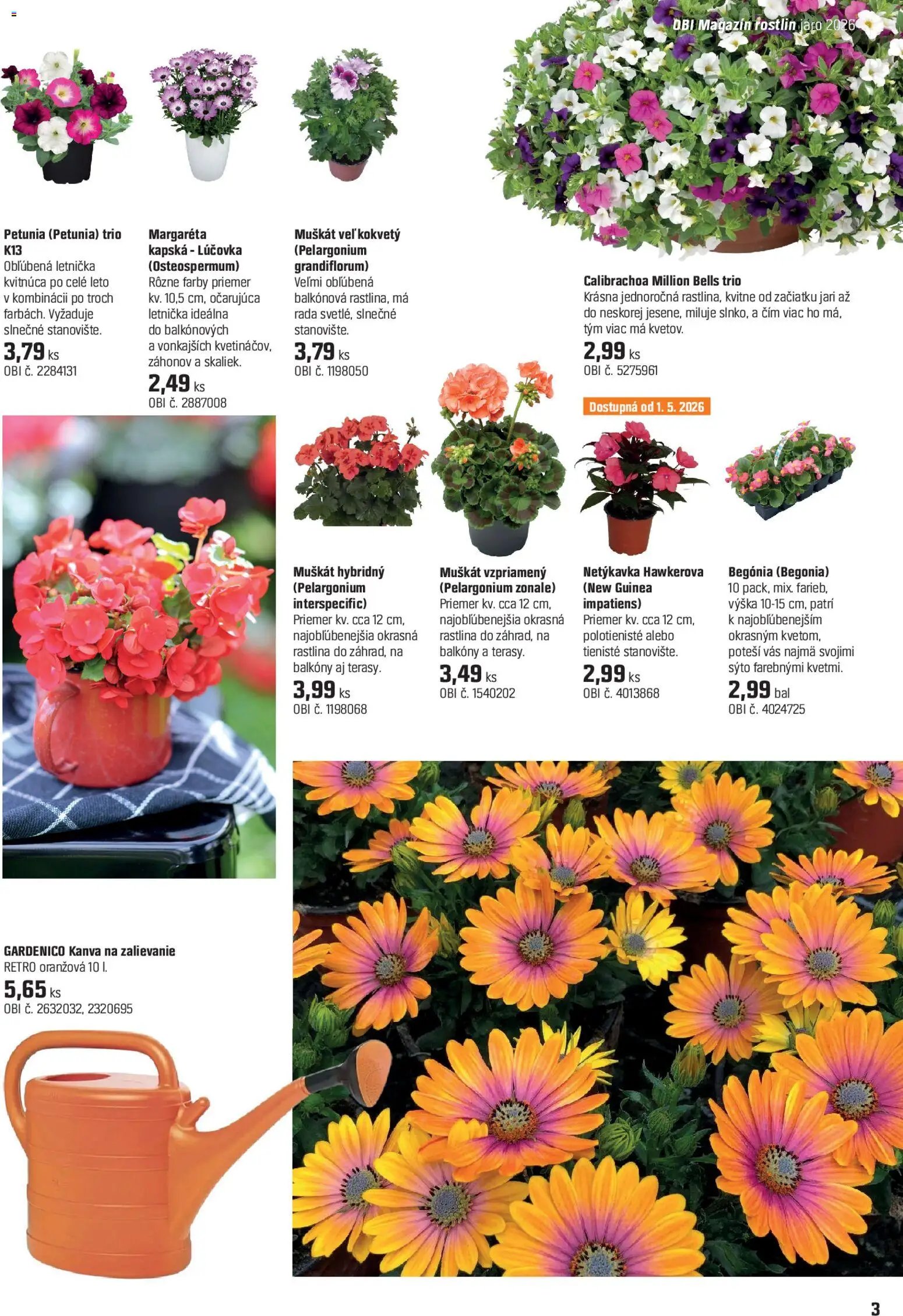 OBI dokážete čokoľvek (2026-04-15 - 2026-05-14) | 3