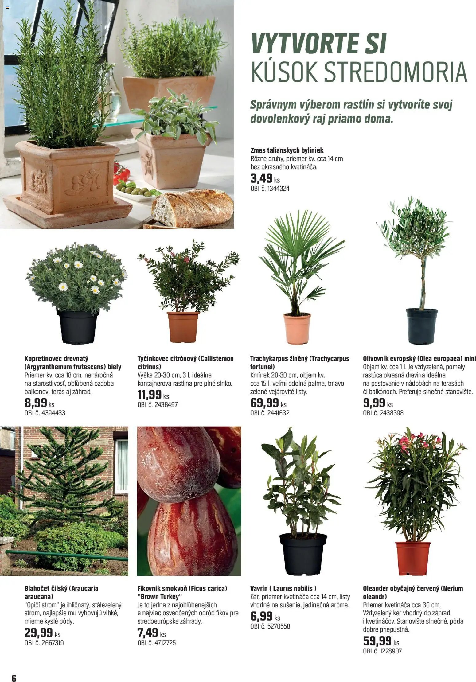 OBI dokážete čokoľvek (2026-04-15 - 2026-05-14) | 6