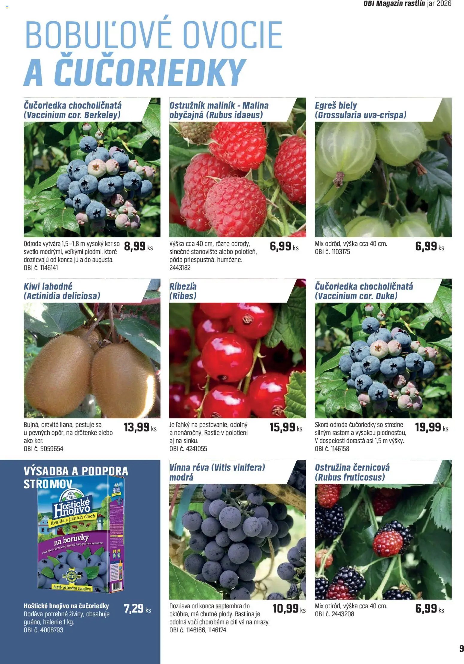 OBI dokážete čokoľvek (2026-04-15 - 2026-05-14) | 9