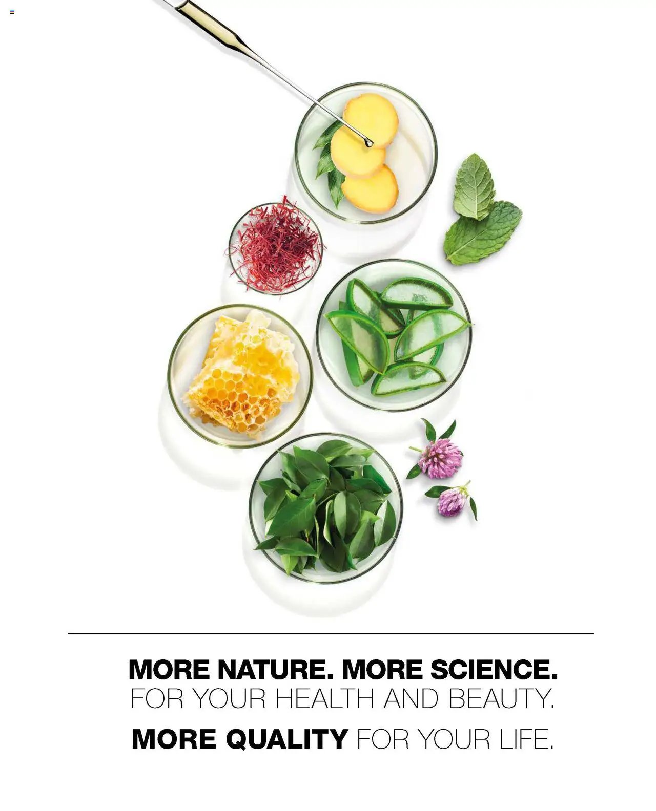 LR katalóg kolekcia 2025 (2025-06-02 - 2025-12-31) | 2