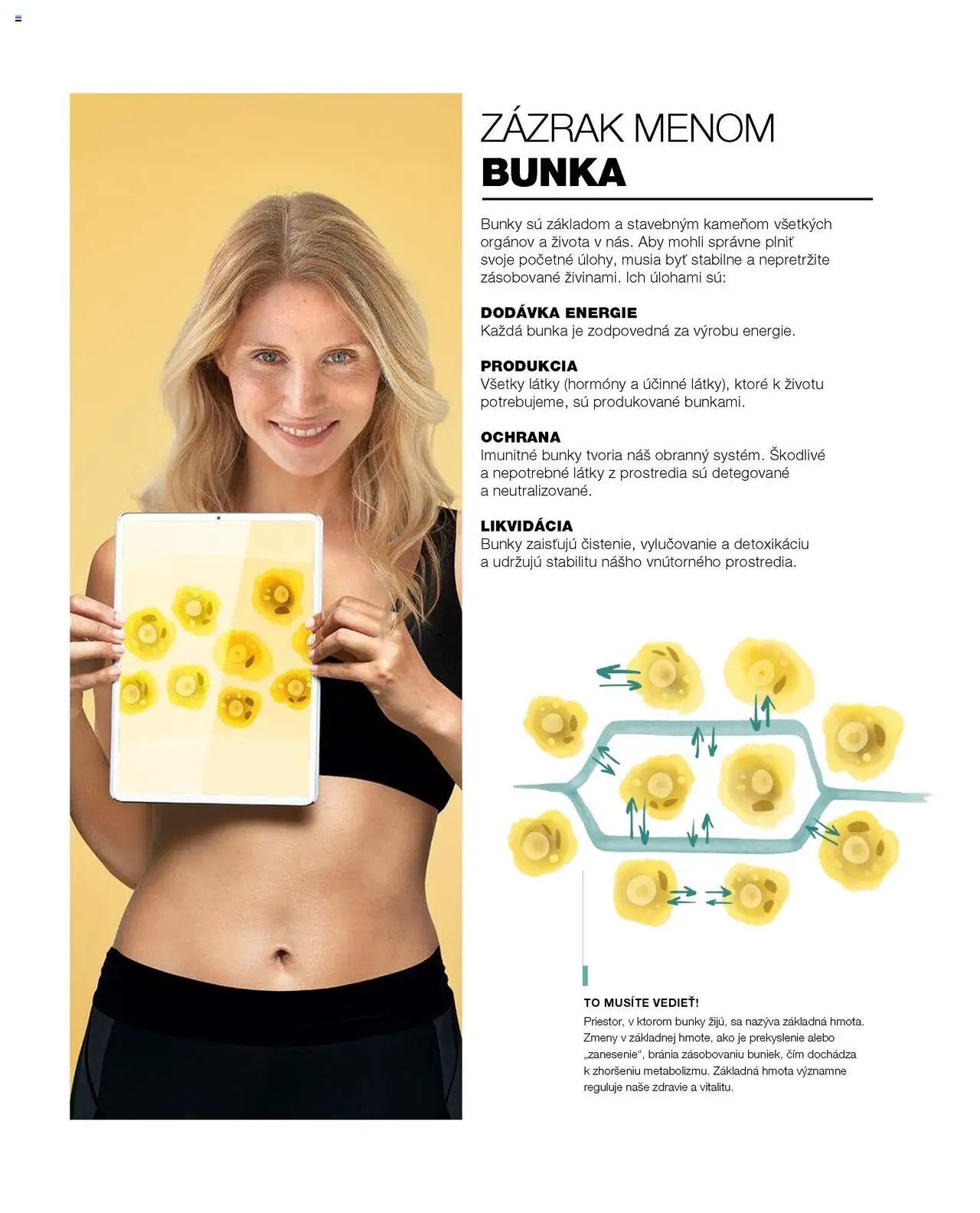 LR katalóg kolekcia 2025 (2025-06-02 - 2025-12-31) | 12