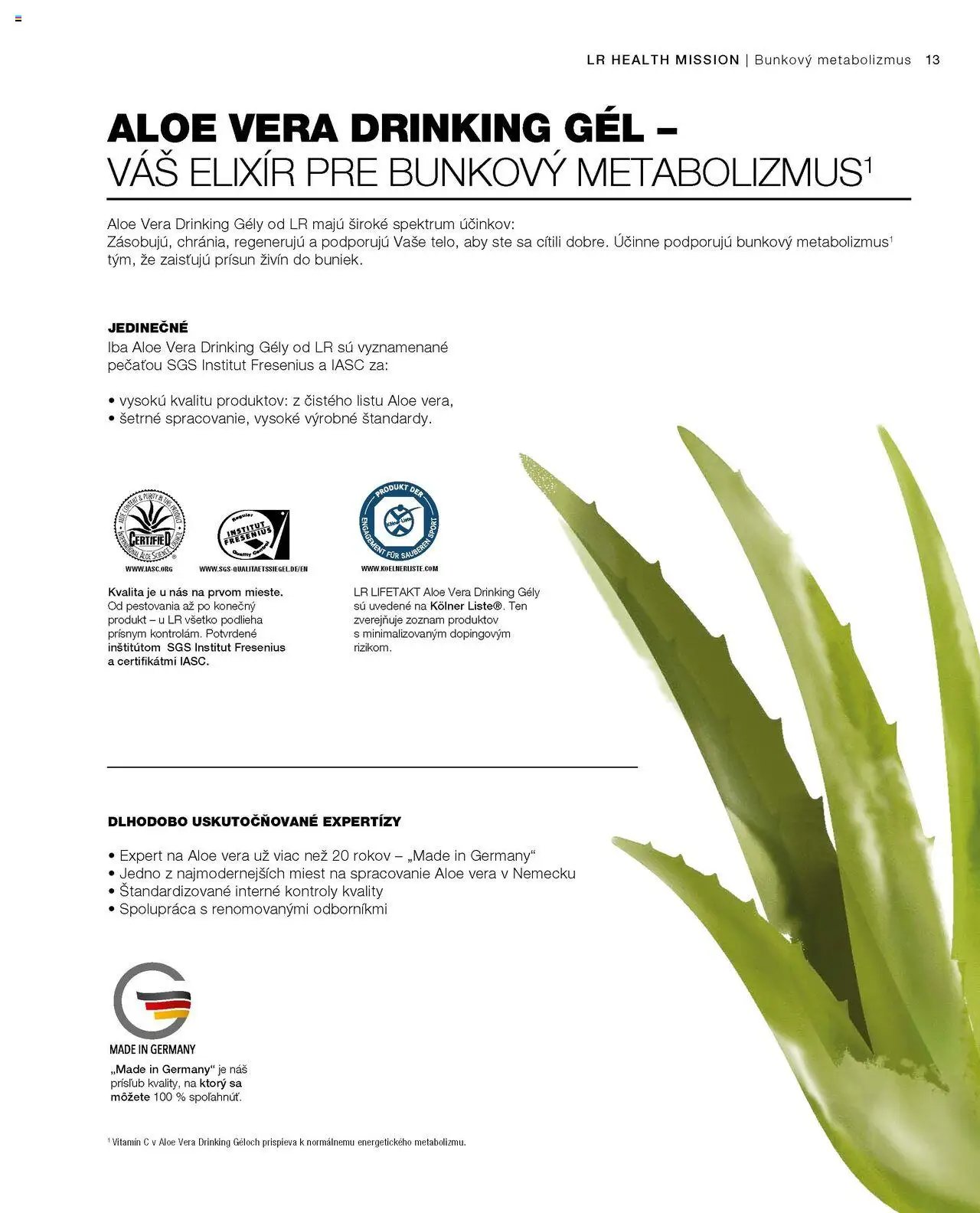 LR katalóg kolekcia 2025 (2025-06-02 - 2025-12-31) | 13