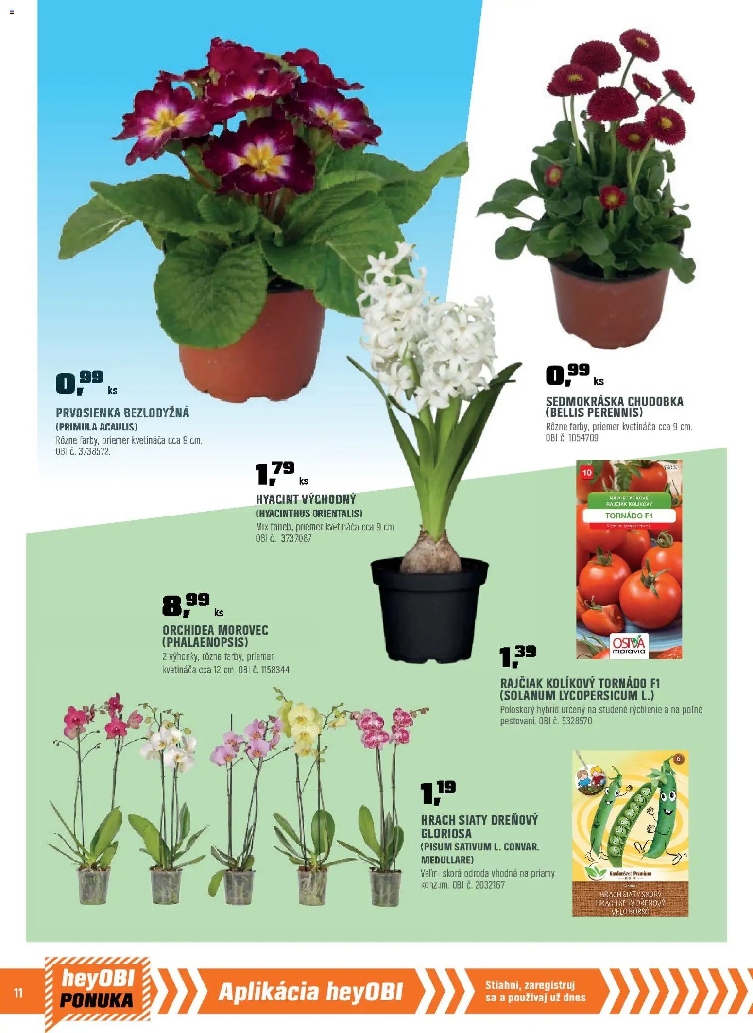 OBI leták (2026-02-01 - 2026-02-28) | 12