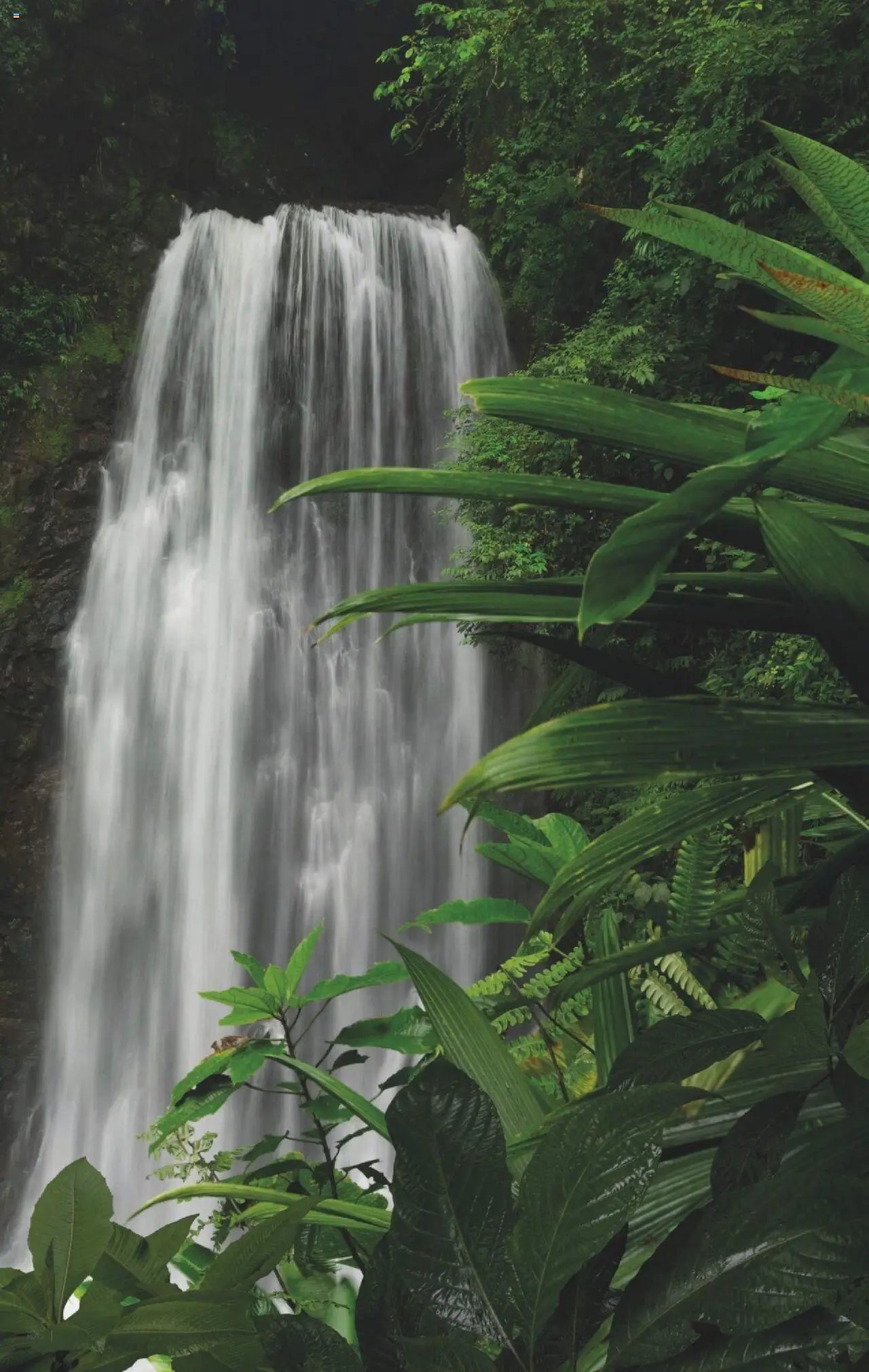 Farmasi katalóg (2025-09-24 - 2025-12-31) | 166