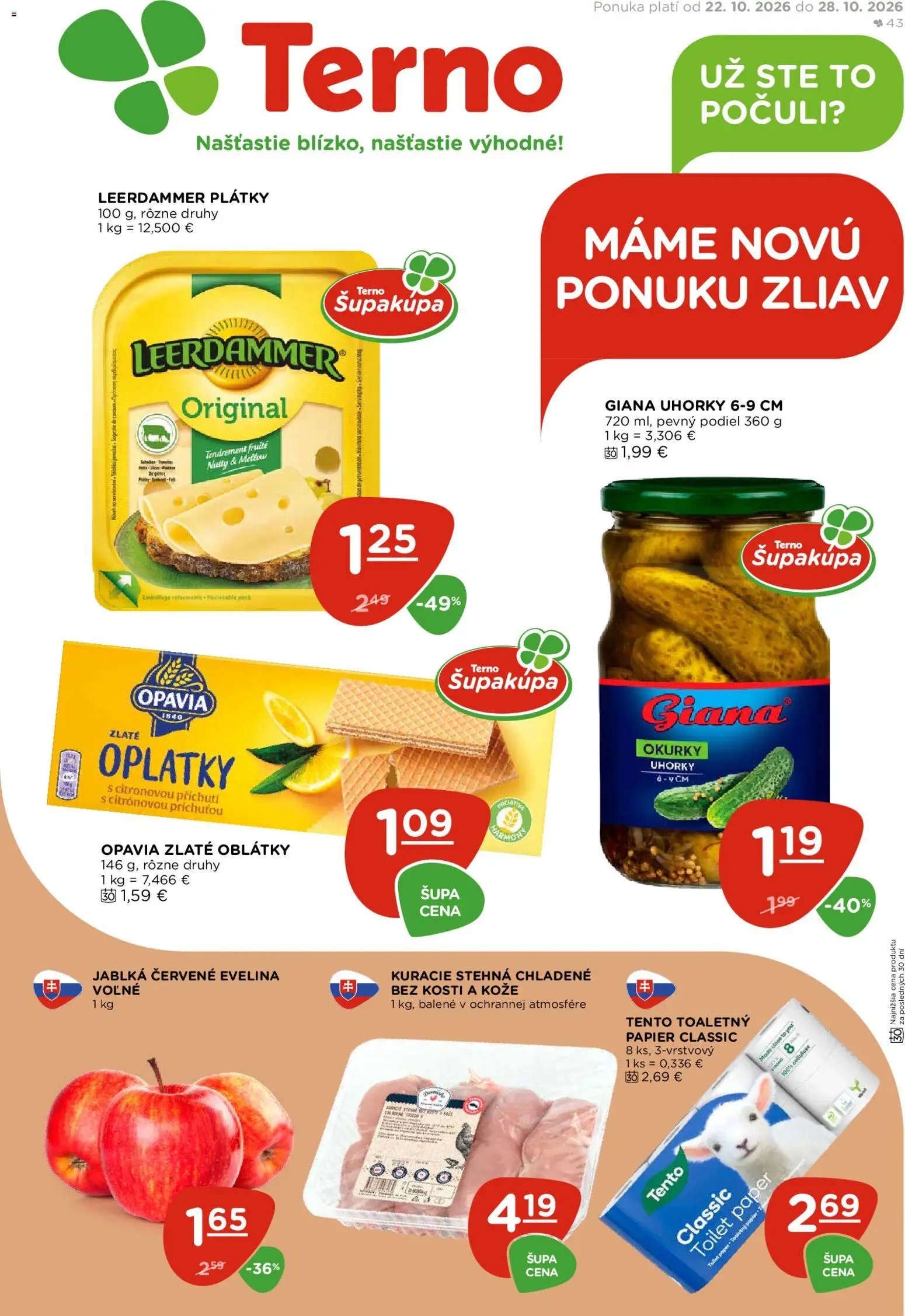 Terno leták