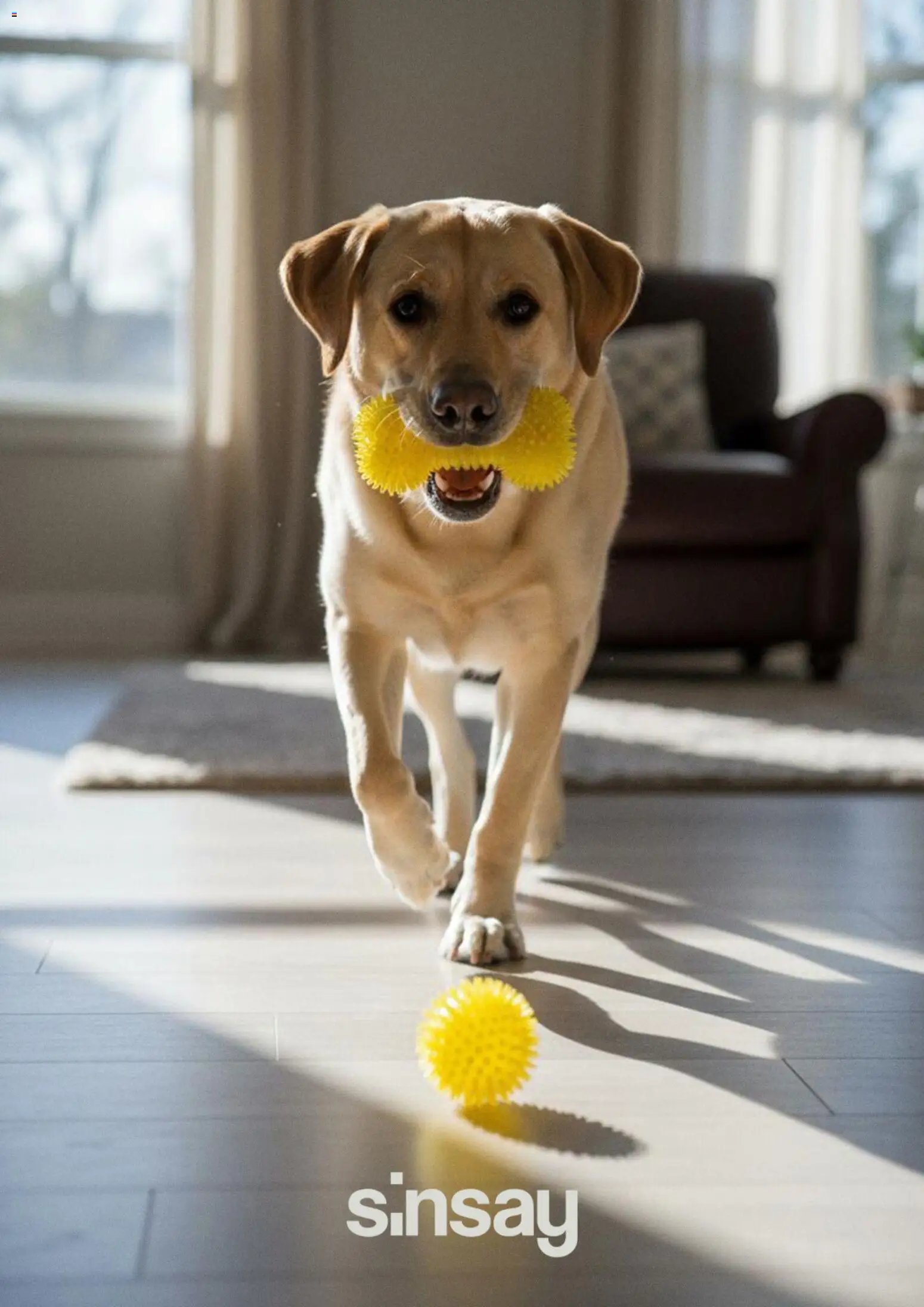 Sinsay výpredaj (2026-04-14 - 2026-05-14) | 5