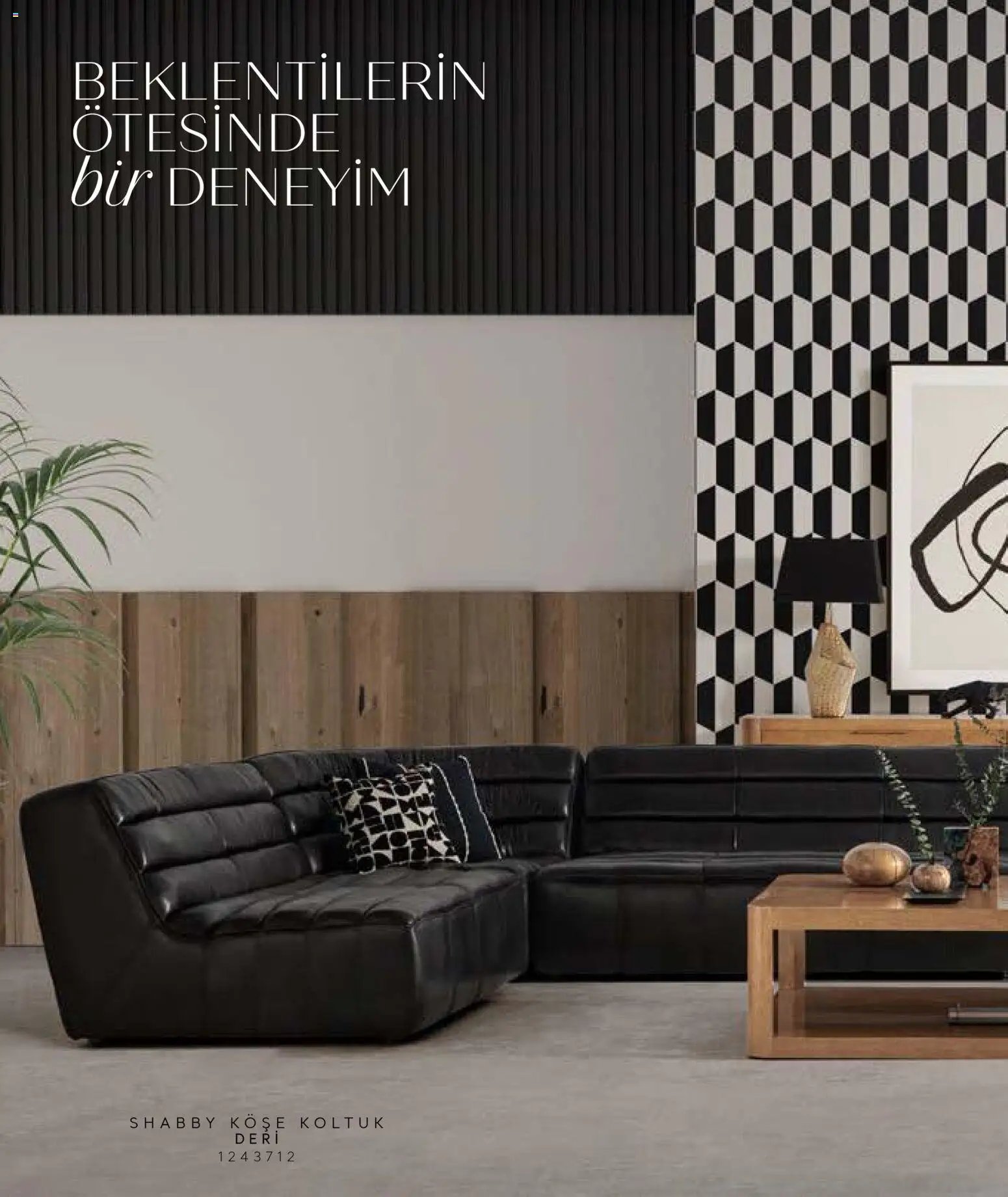 Mudo - Katalog Deri Sıklığı 2026