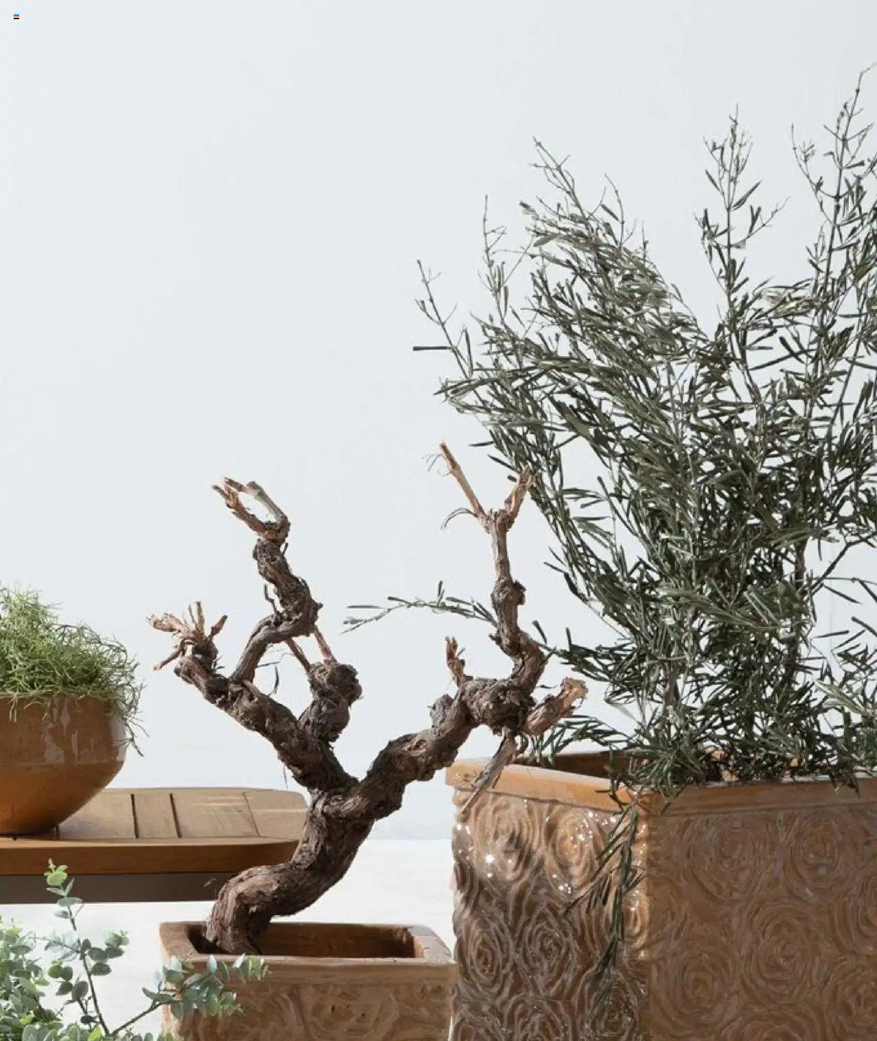 Mudo Katalog - SAKSI 2025