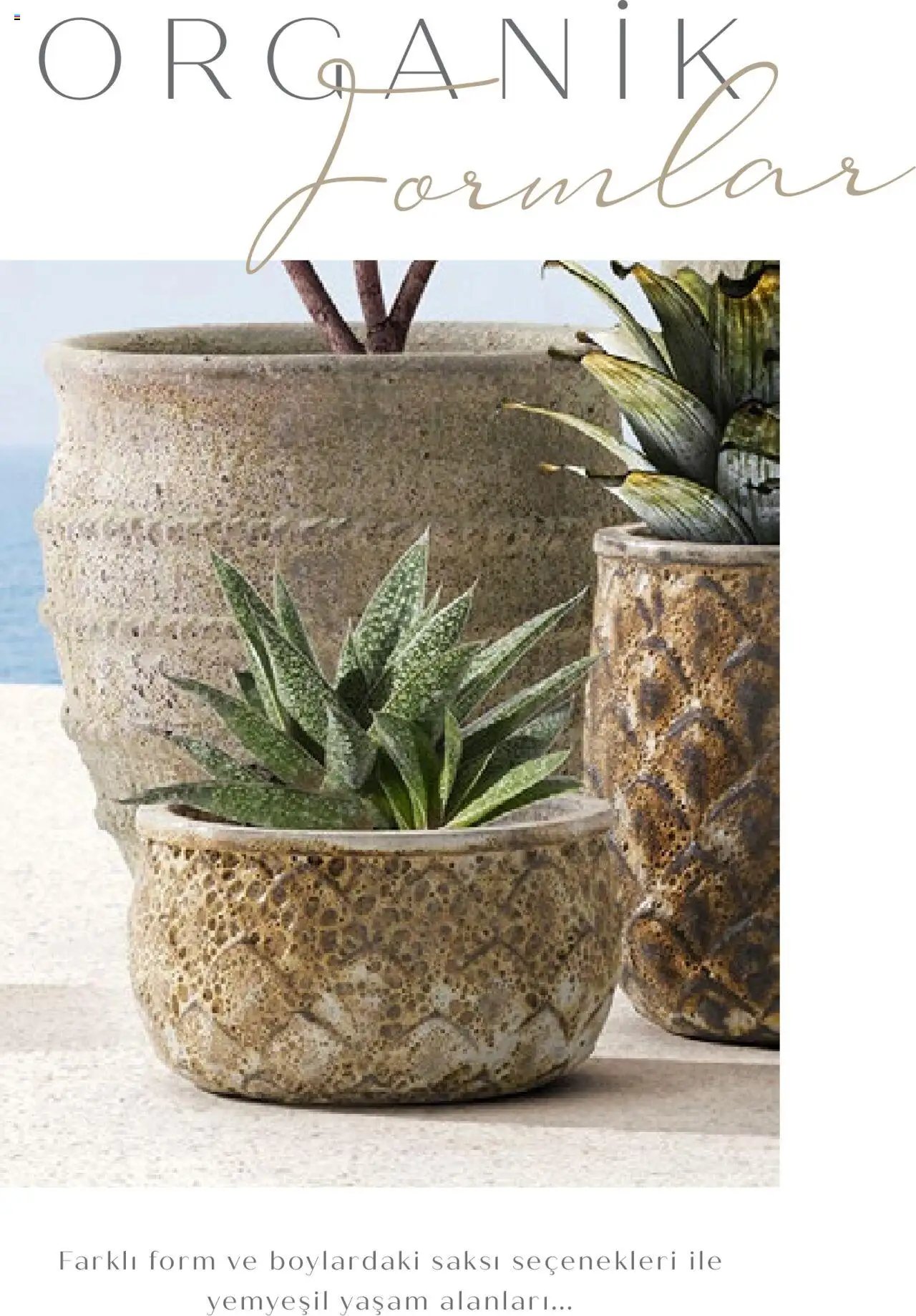 Mudo Katalog - SAKSI 2025