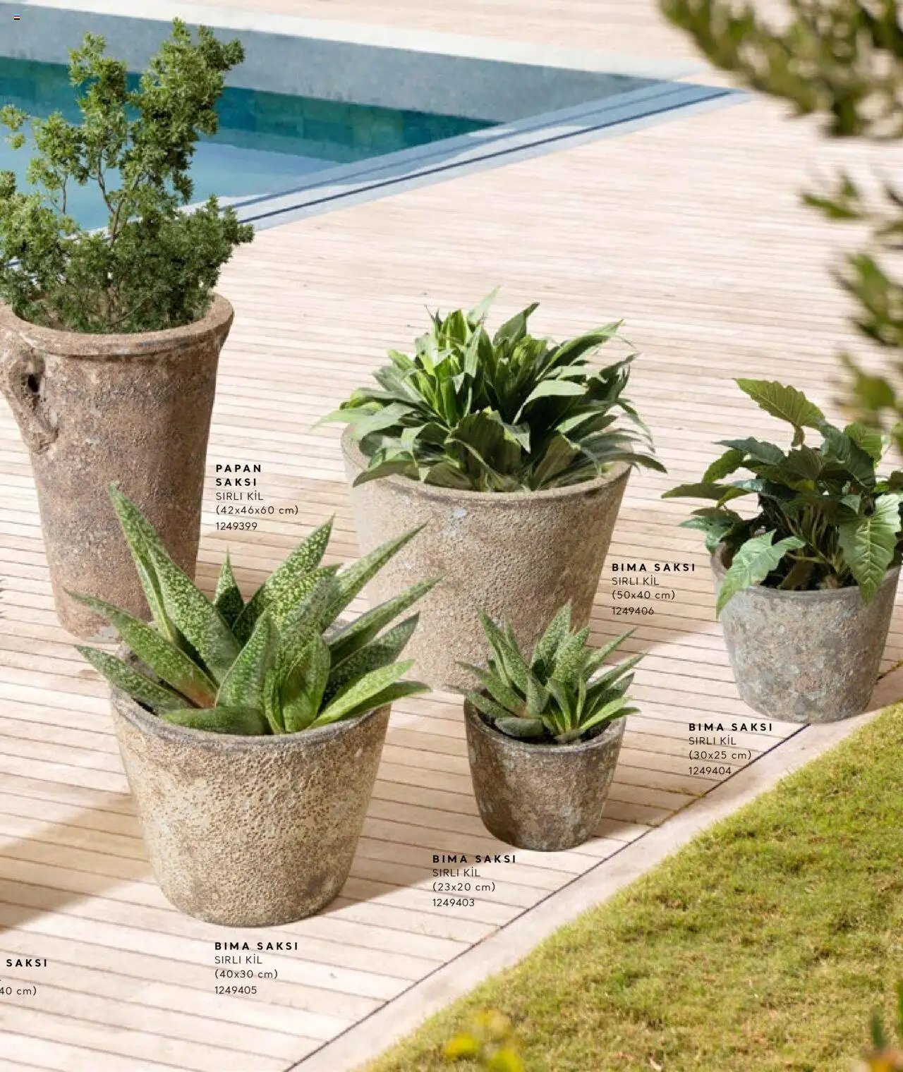 Mudo Katalog - SAKSI 2025