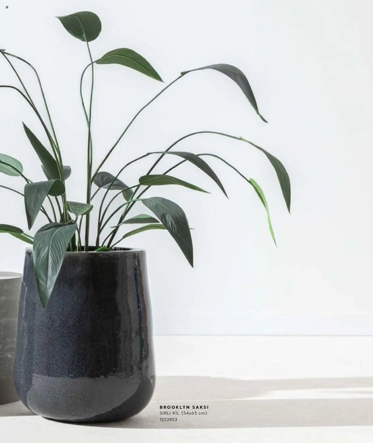 Mudo Katalog - SAKSI 2025