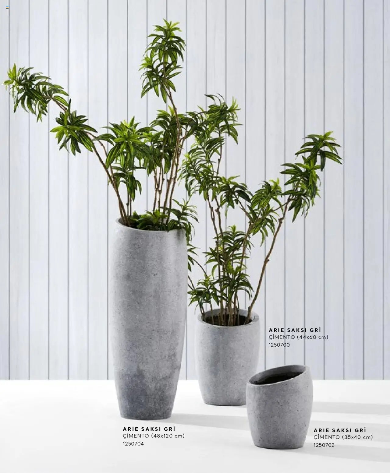 Mudo Katalog - SAKSI 2025