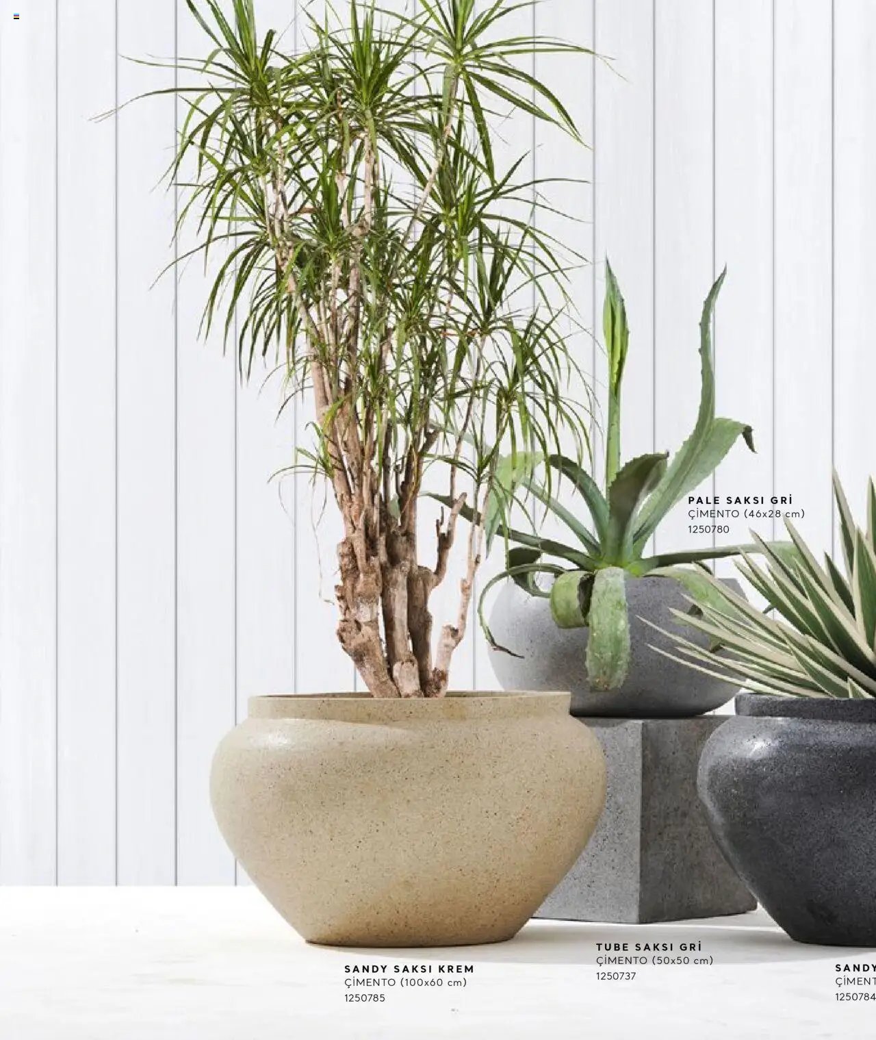 Mudo Katalog - SAKSI 2025