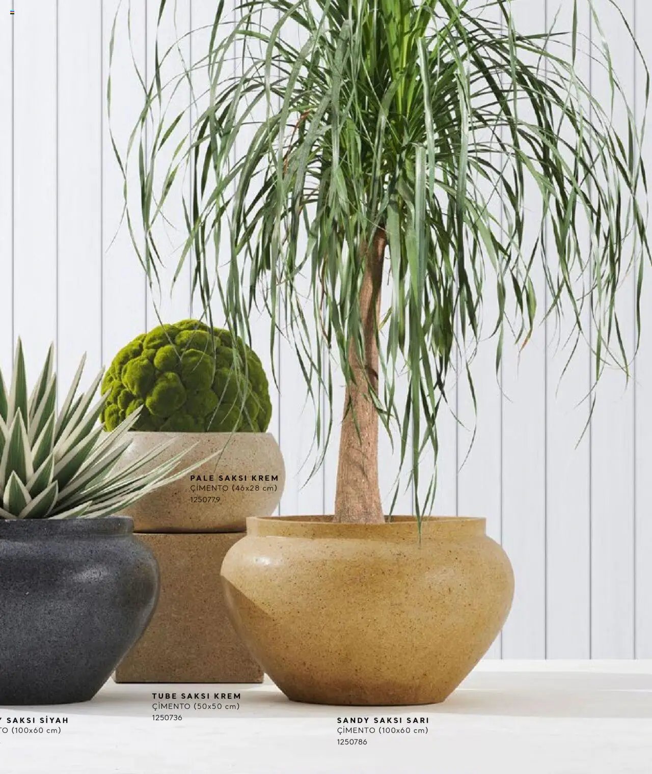 Mudo Katalog - SAKSI 2025