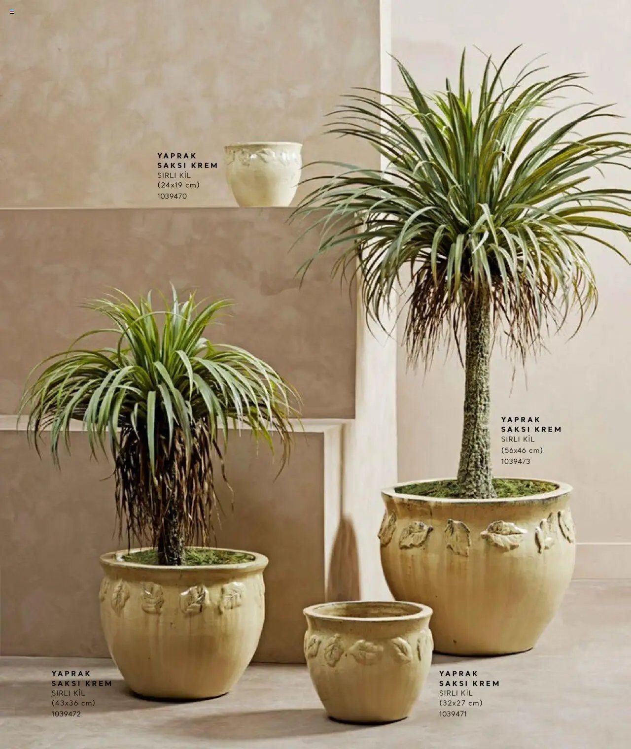 Mudo Katalog - SAKSI 2025