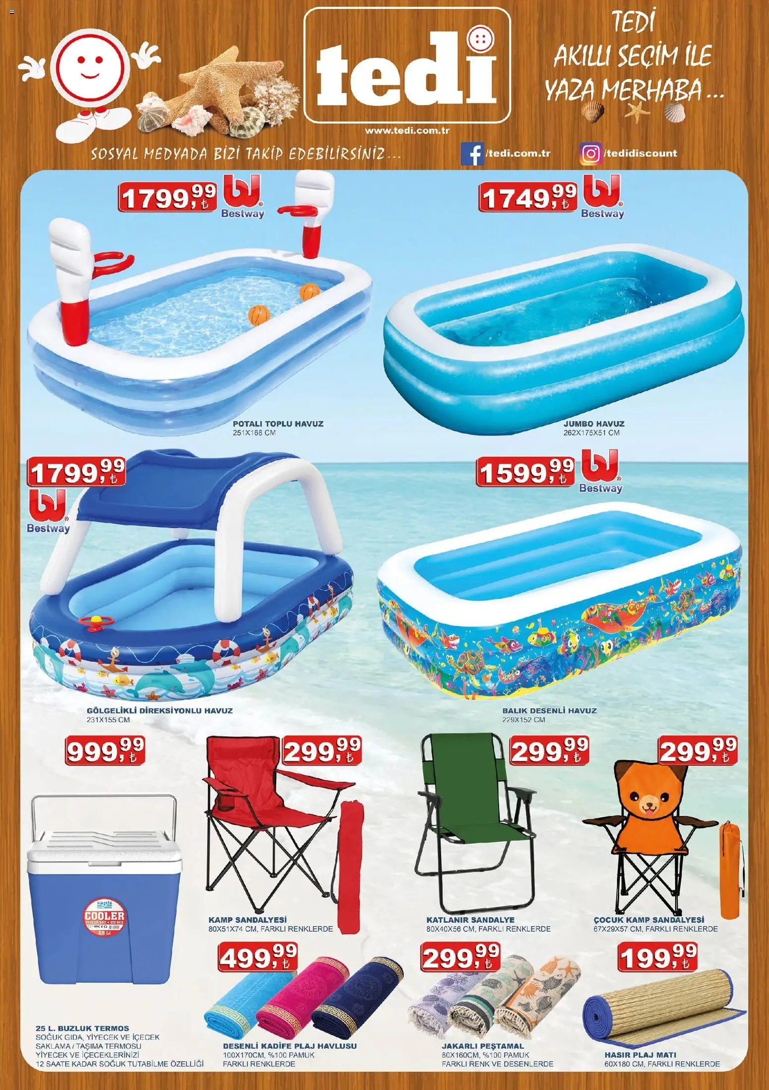 Tedi  Katalog