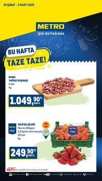 Metro - Taze Ürünler