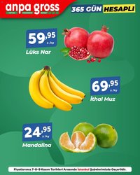 Anpa Gross Sebze ve meyve