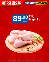 Anpa Gross - Piliç