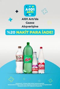 A101 - Arti