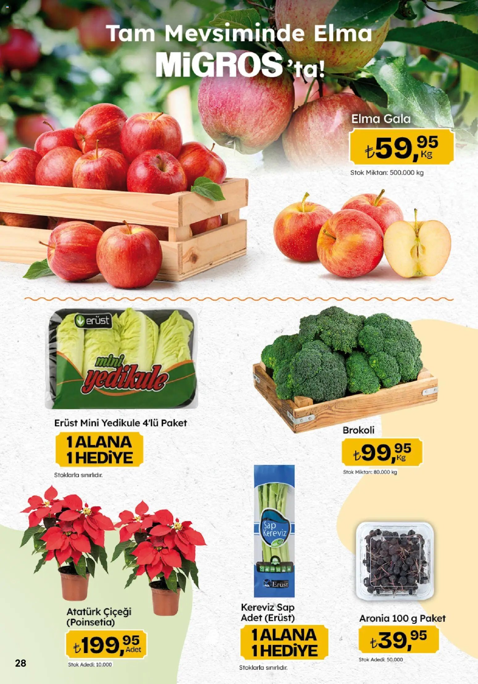 Migros Katalog - 5M Migroskop Dijital