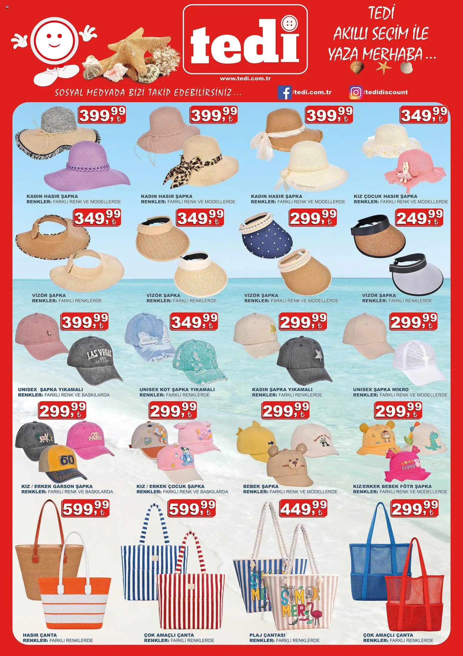 Tedi  Katalog