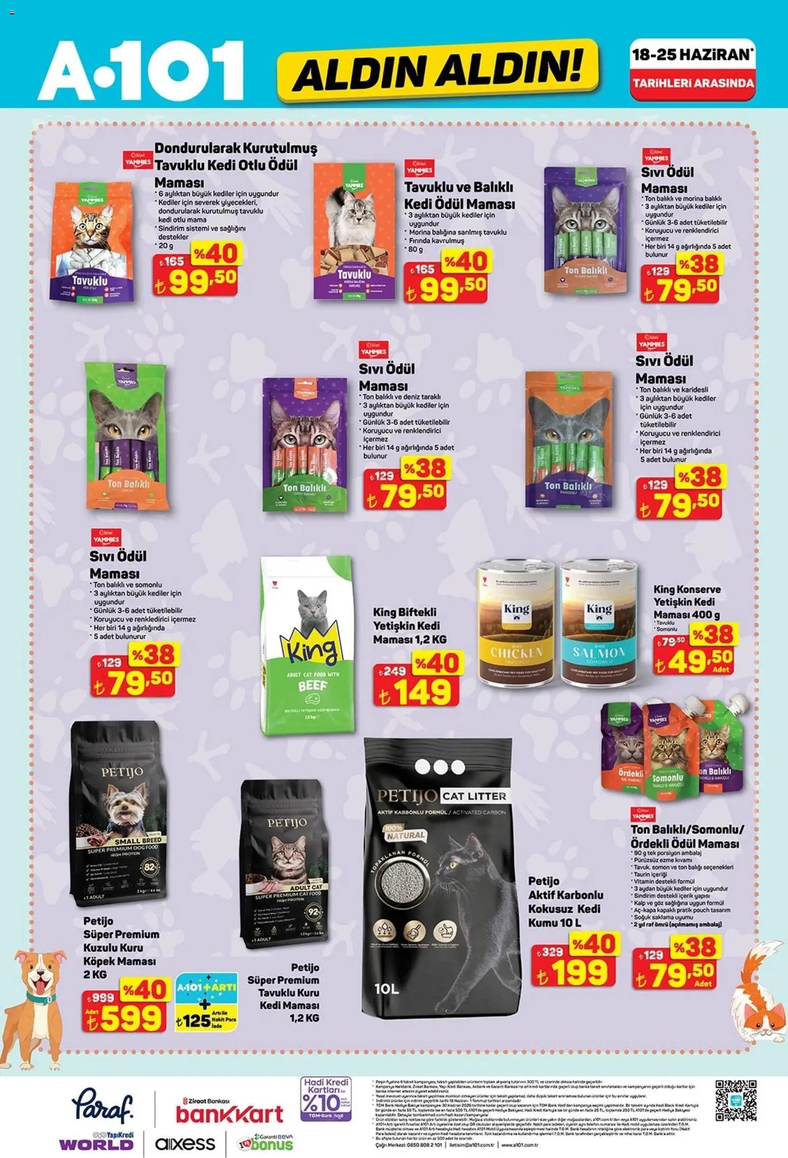 A101 - Katalog Aldın Aldın