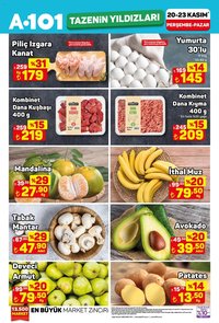 A101 Tazenin Yıldızları