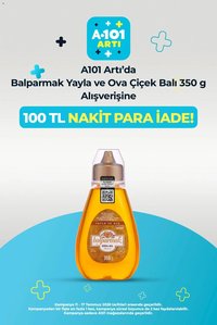 A101 - Arti