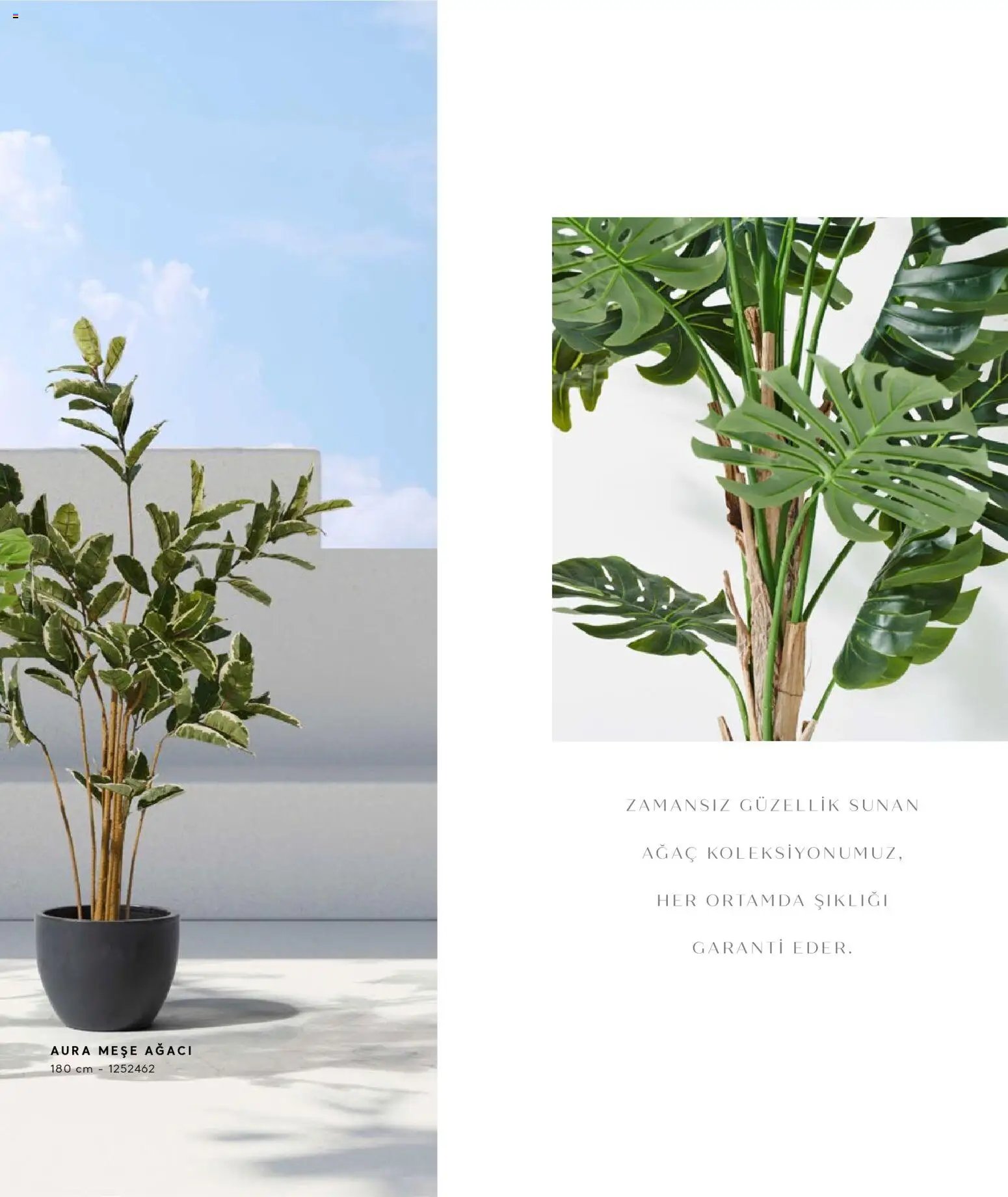 Mudo - Katalog  Ağaç 2026