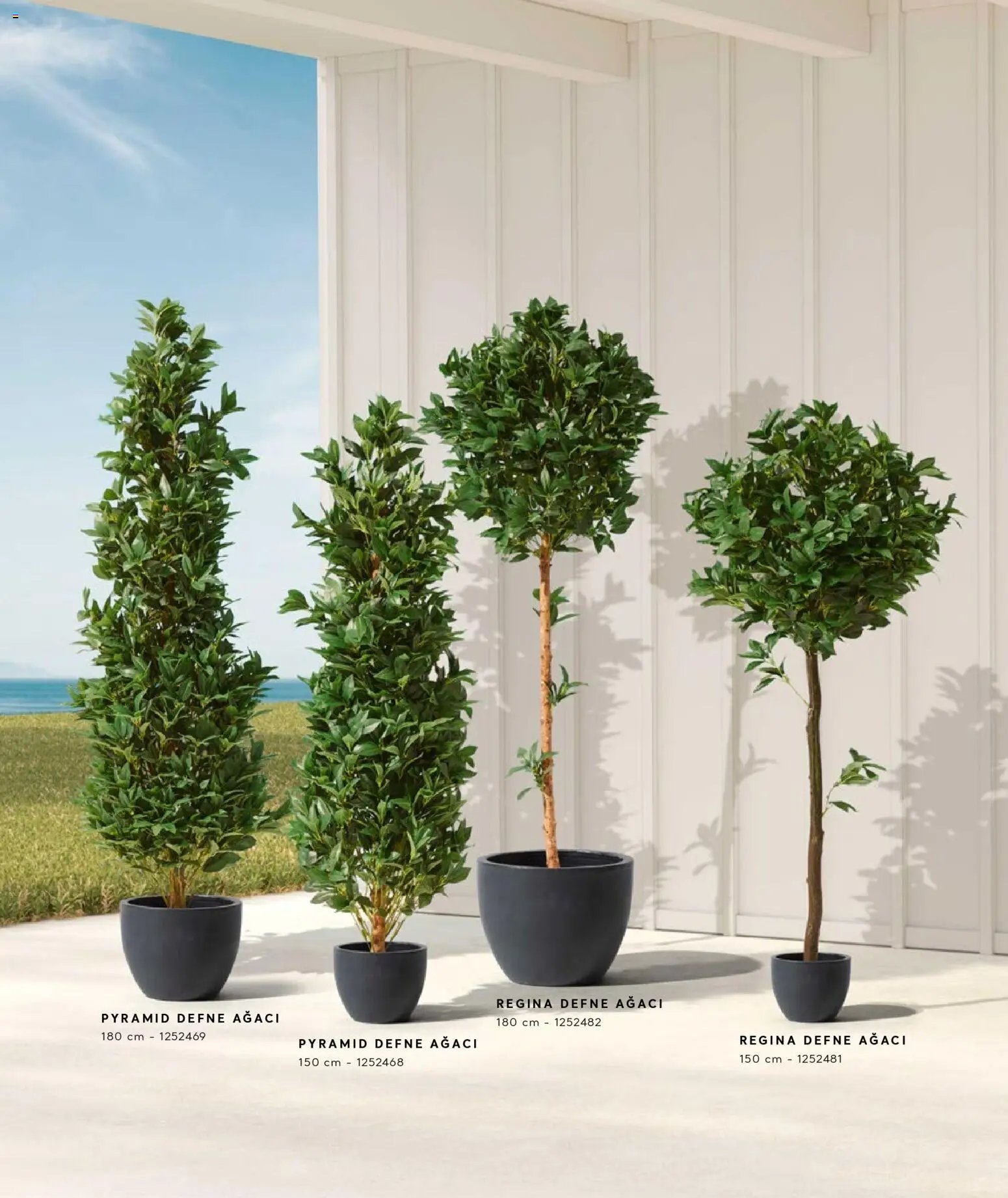 Mudo - Katalog  Ağaç 2026