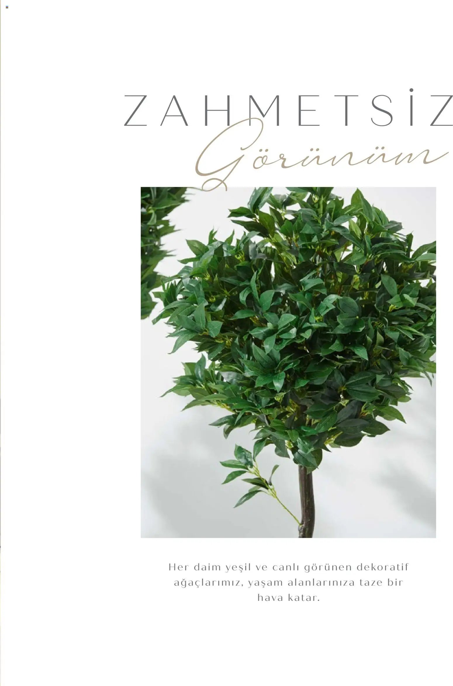 Mudo - Katalog  Ağaç 2026