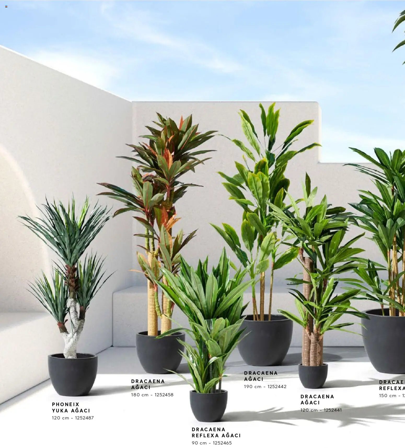 Mudo - Katalog  Ağaç 2026