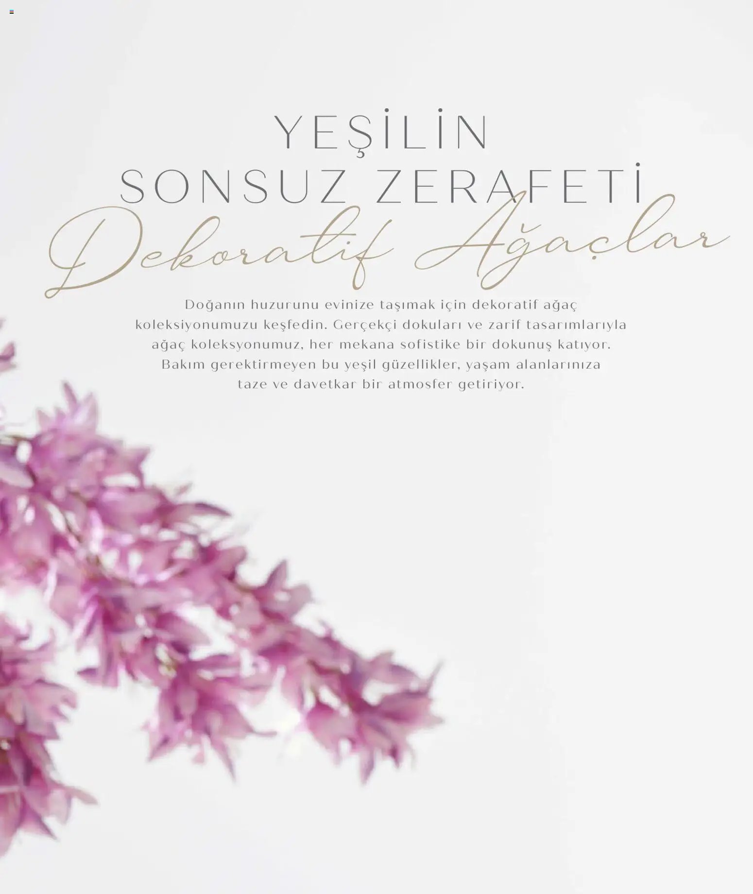 Mudo - Katalog  Ağaç 2026